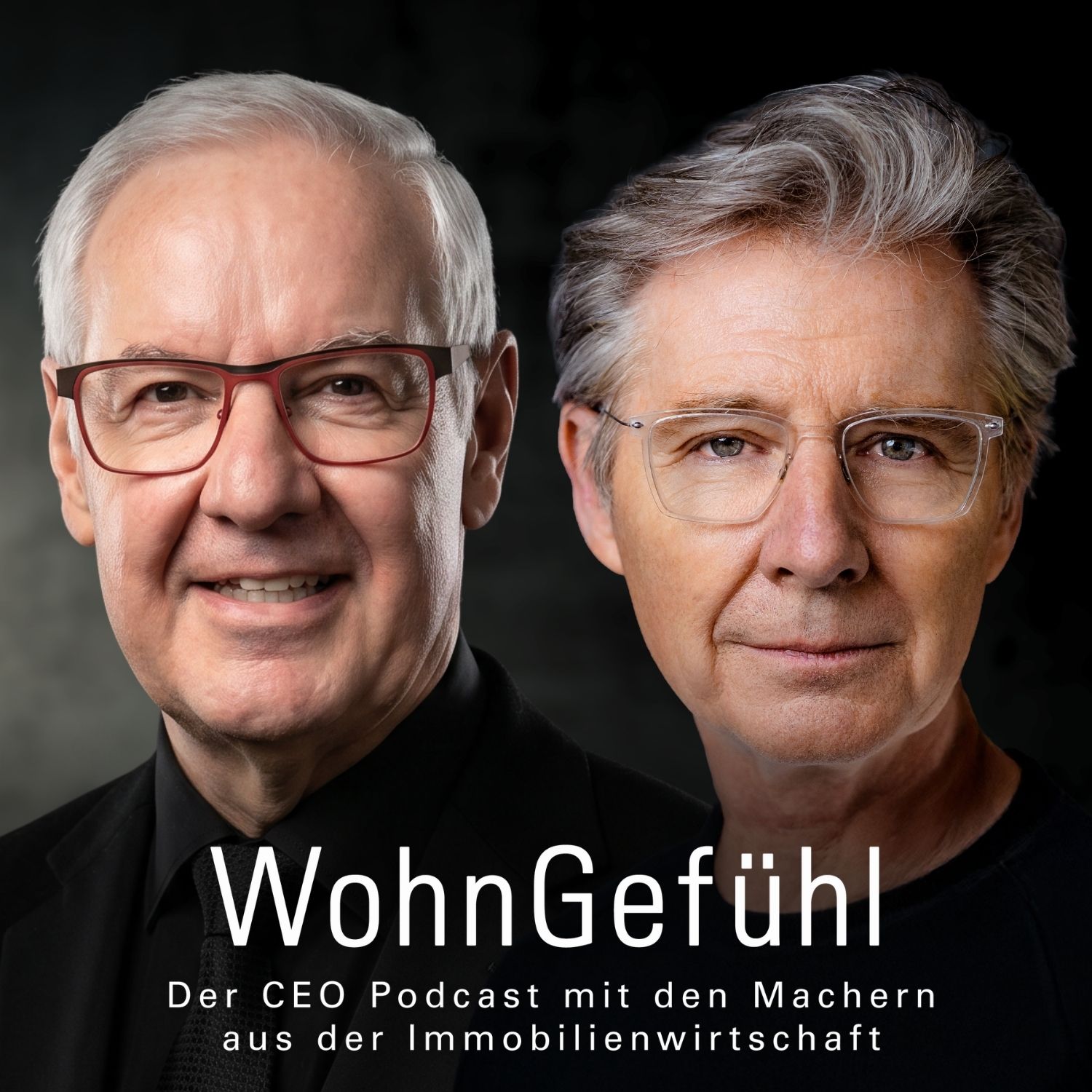 Bezahlbar bauen – geht das noch, Herr Reimann? episode artwork