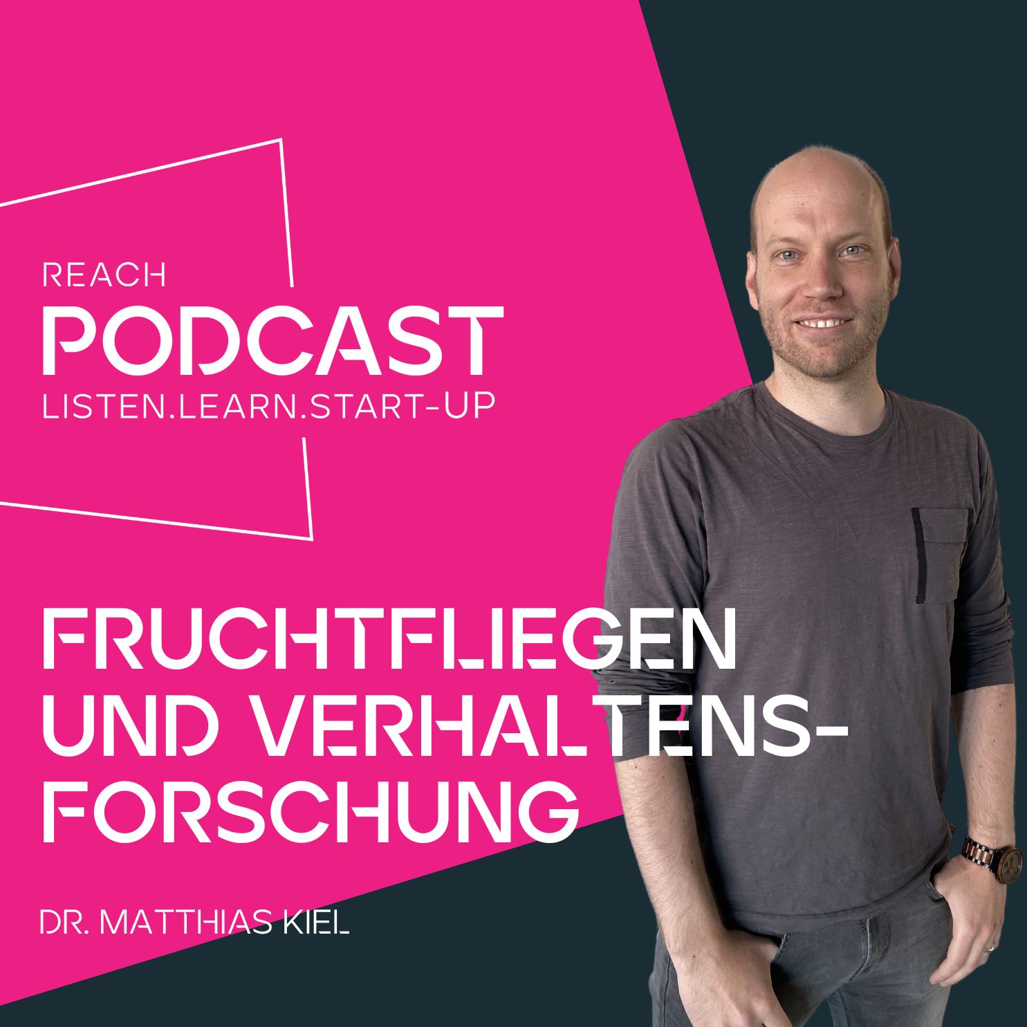REACH – Listen.Learn.Start-up