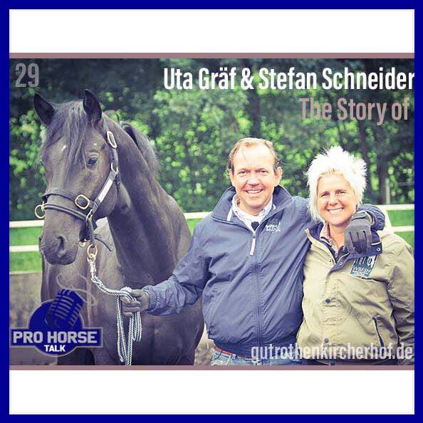 PRO HORSE TALK