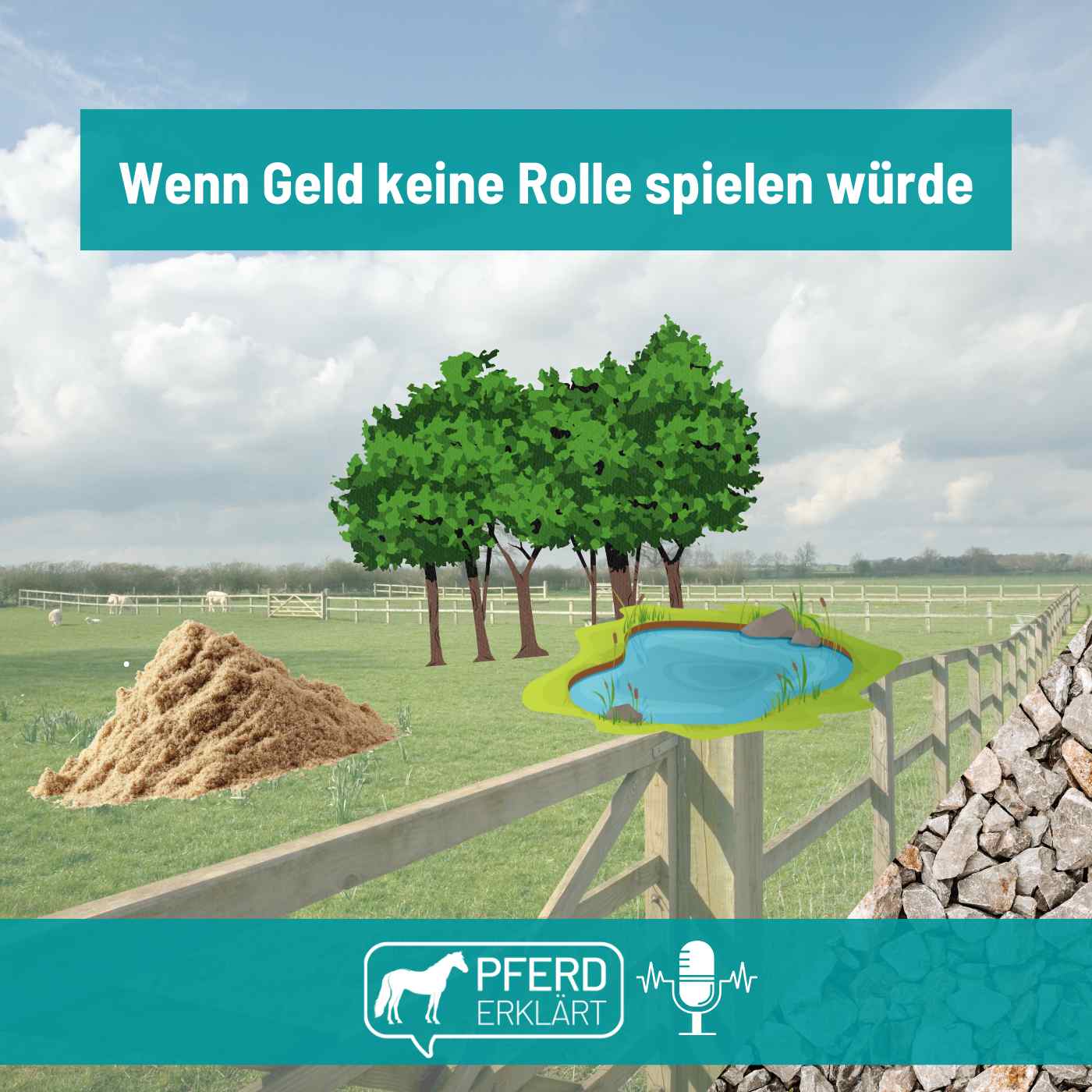 Was würdest du für dein Pferd tun, wenn Geld keine Rolle spielen würde?