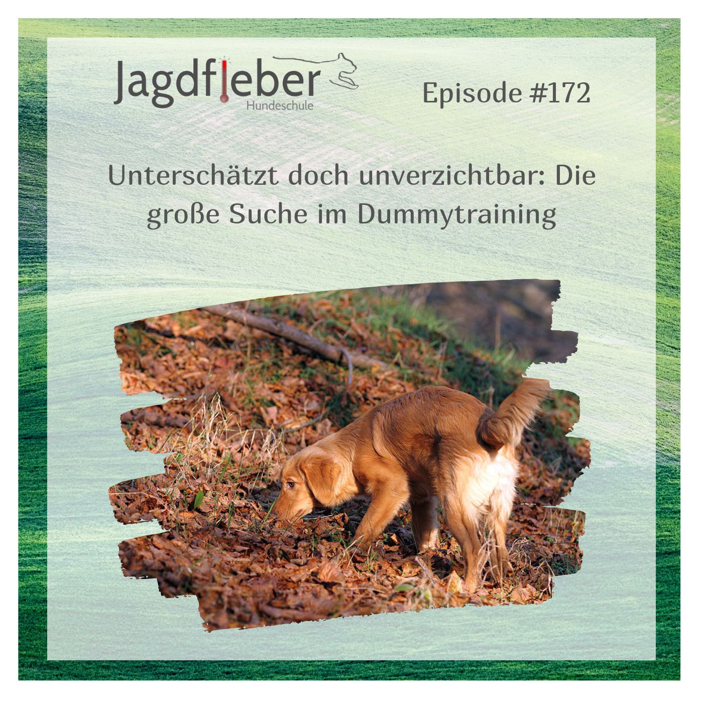 P172: Unterschätzt doch unverzichtbar: Die große Suche im Dummytraining episode artwork