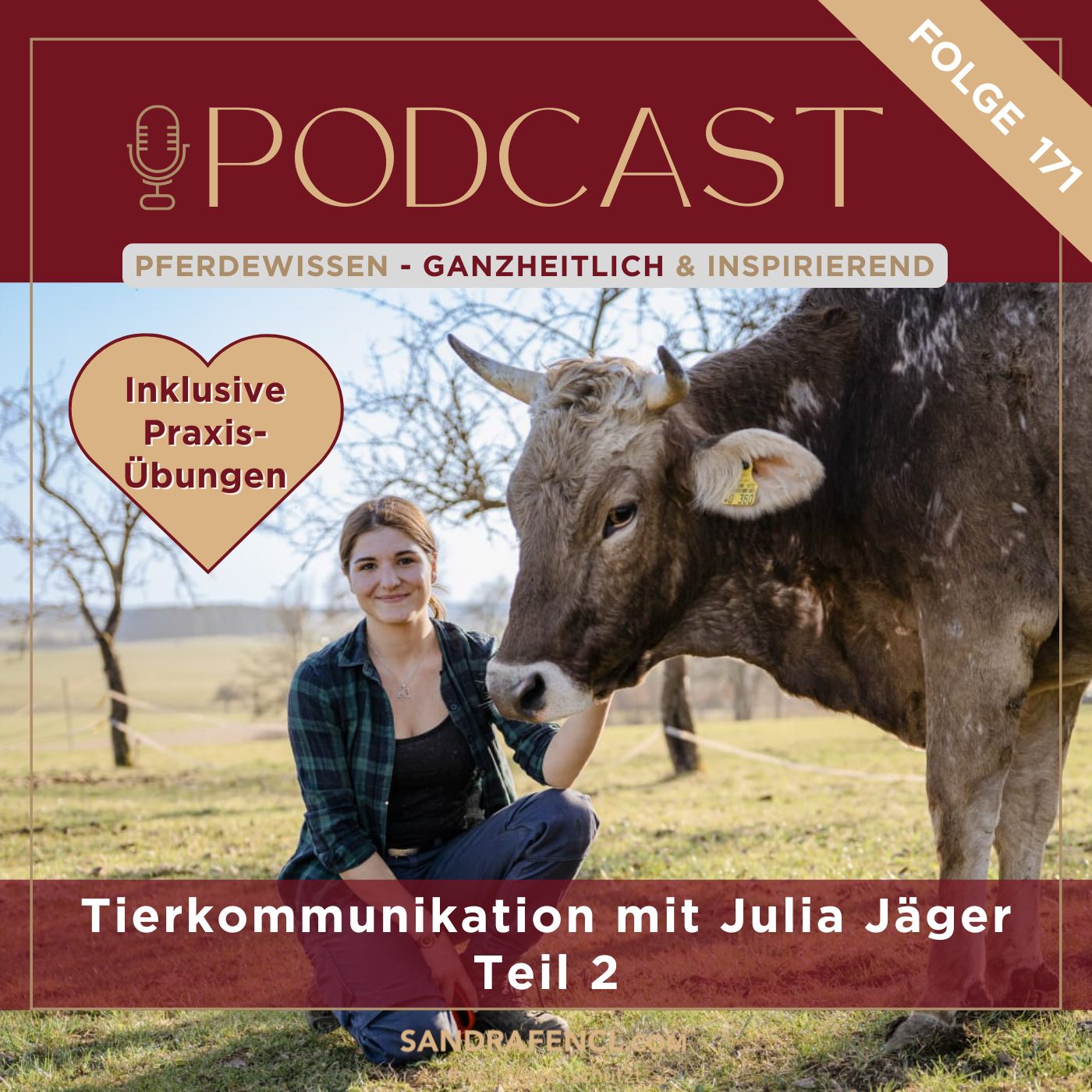 🐴 Tierkommunikation Teil 2 episode artwork