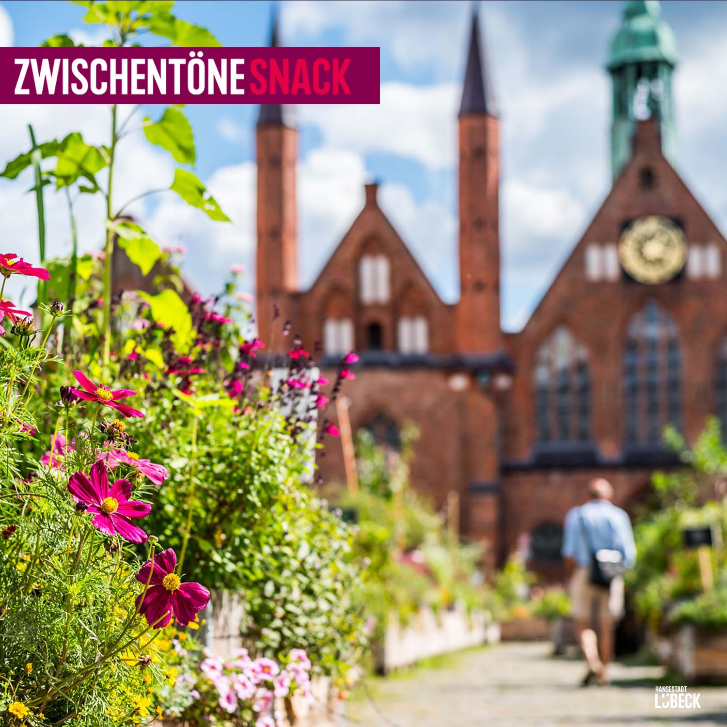 Kleine Wesen ganz groß in der Garten-Oase episode artwork