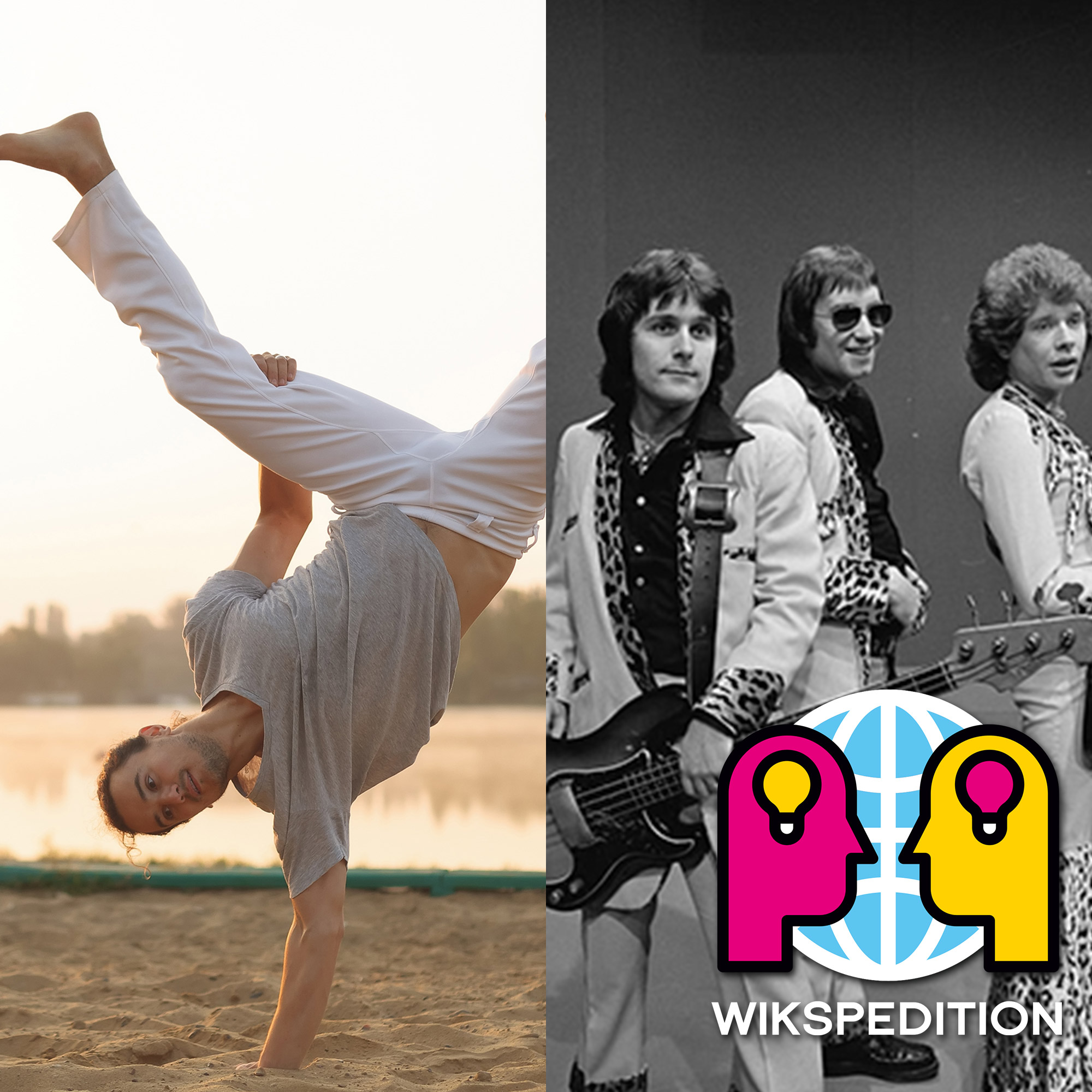Wikspedition