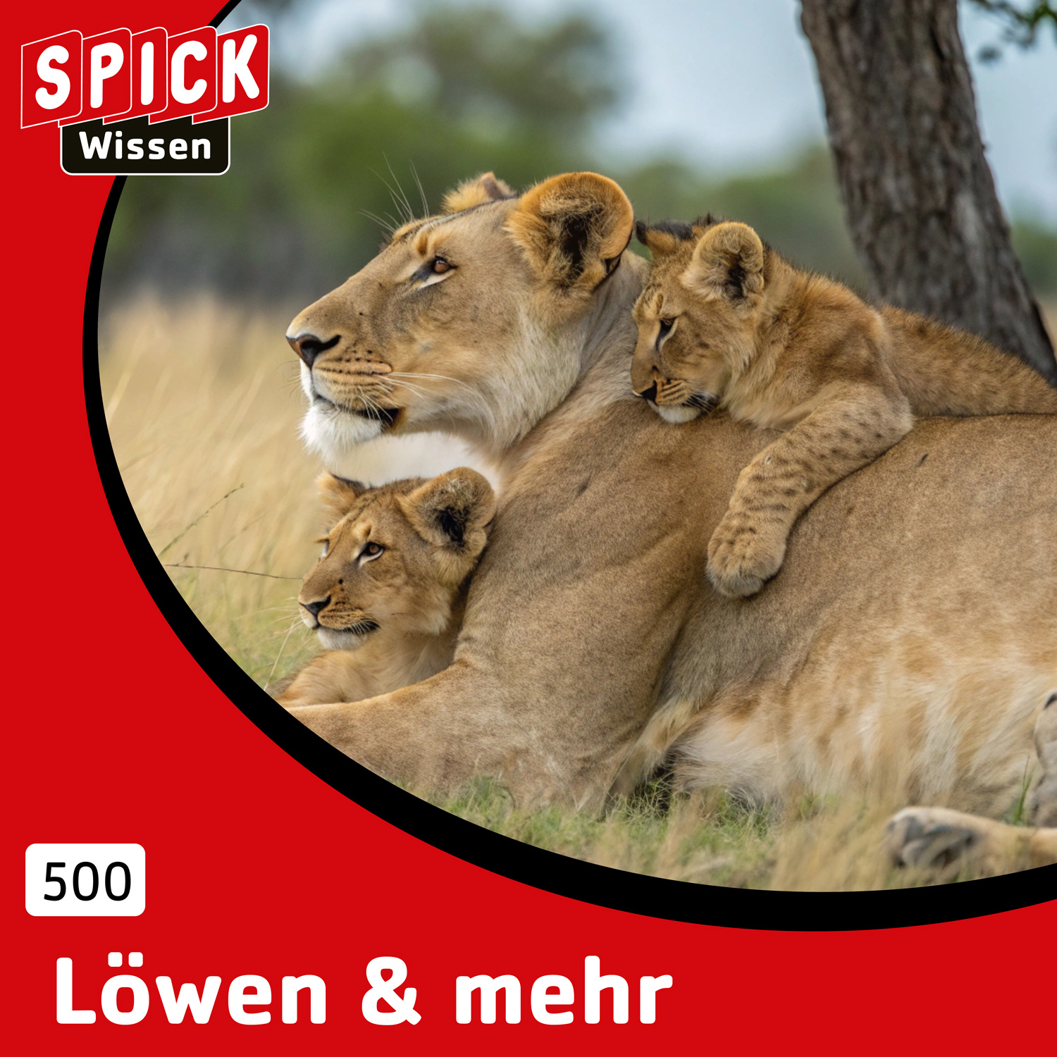Der Prinz der Löwen & mehr episode artwork