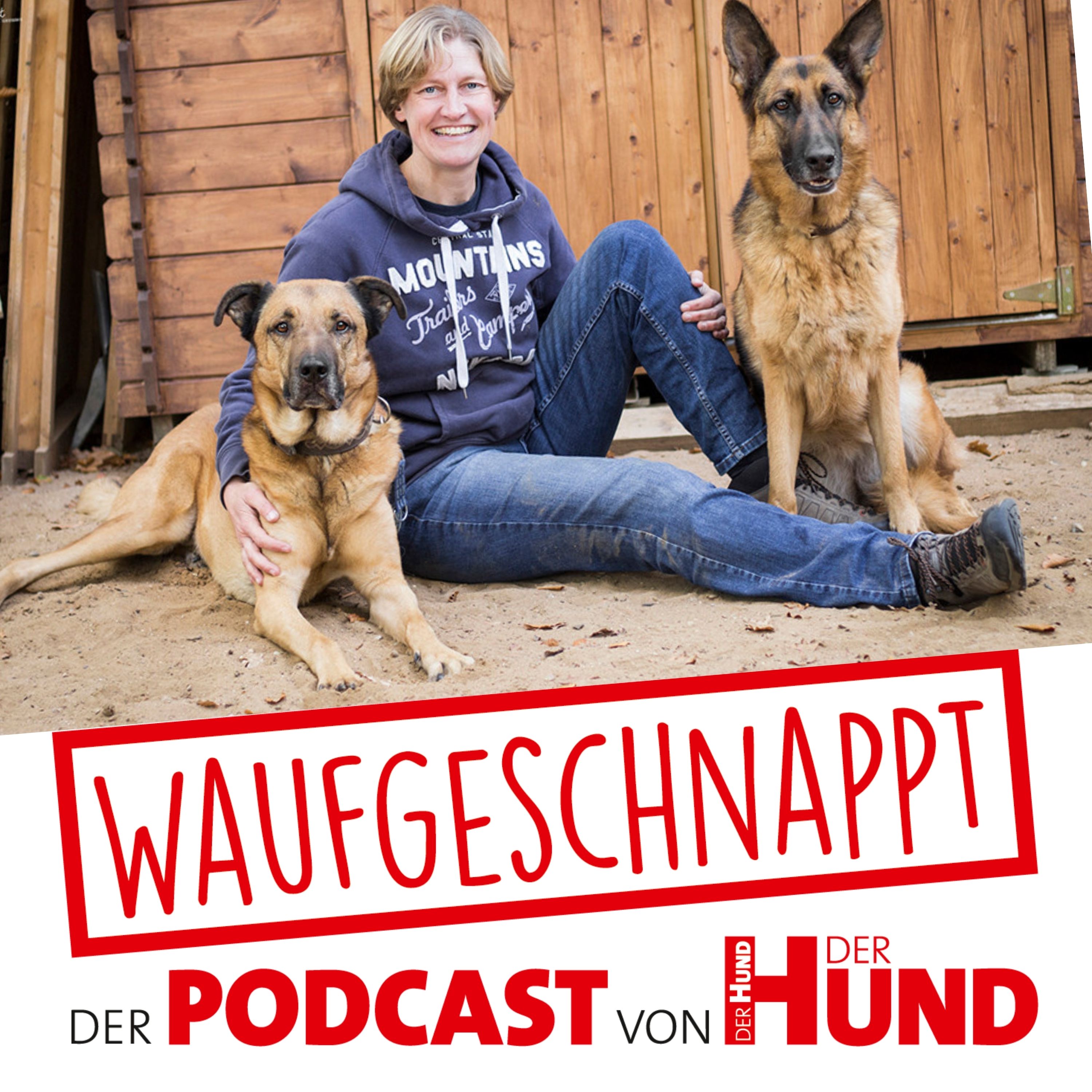 Waufgeschnappt - der Podcast von DER HUND