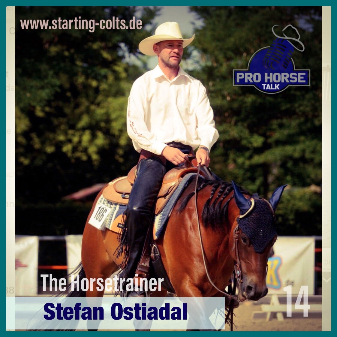 PRO HORSE TALK