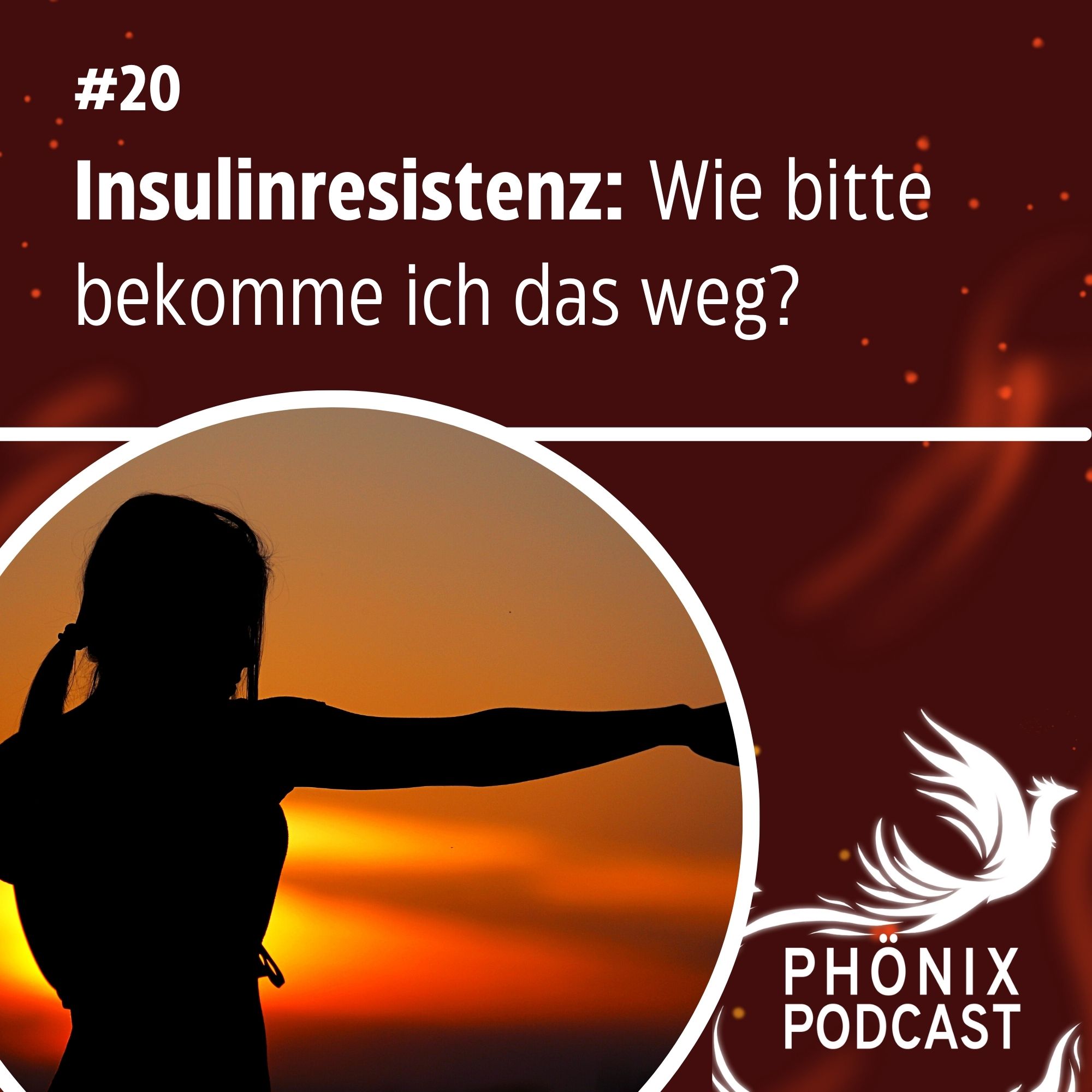 Insulinrestistenz - Wie bitte bekomme ich das weg? #20 - podcast episode cover