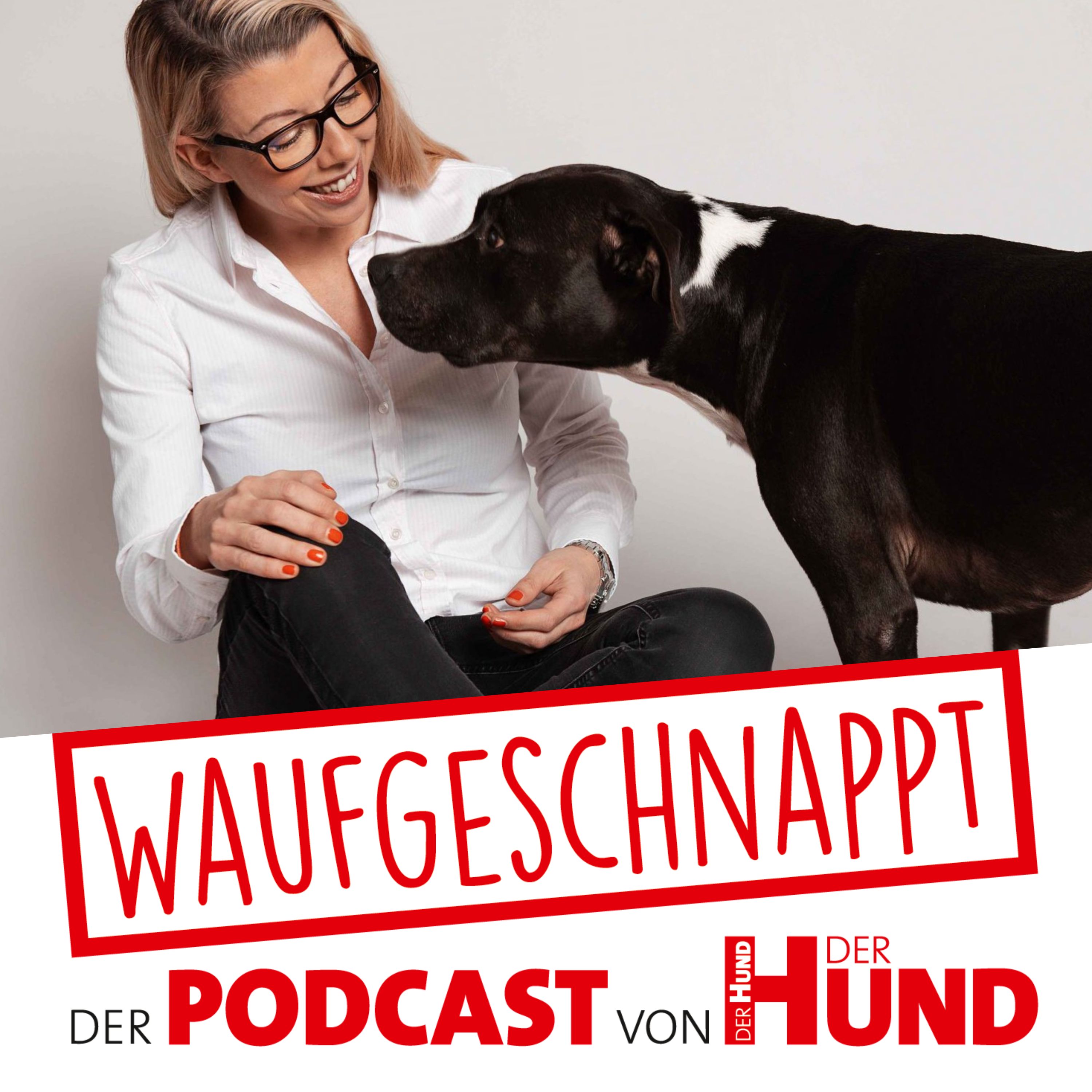 Waufgeschnappt - der Podcast von DER HUND