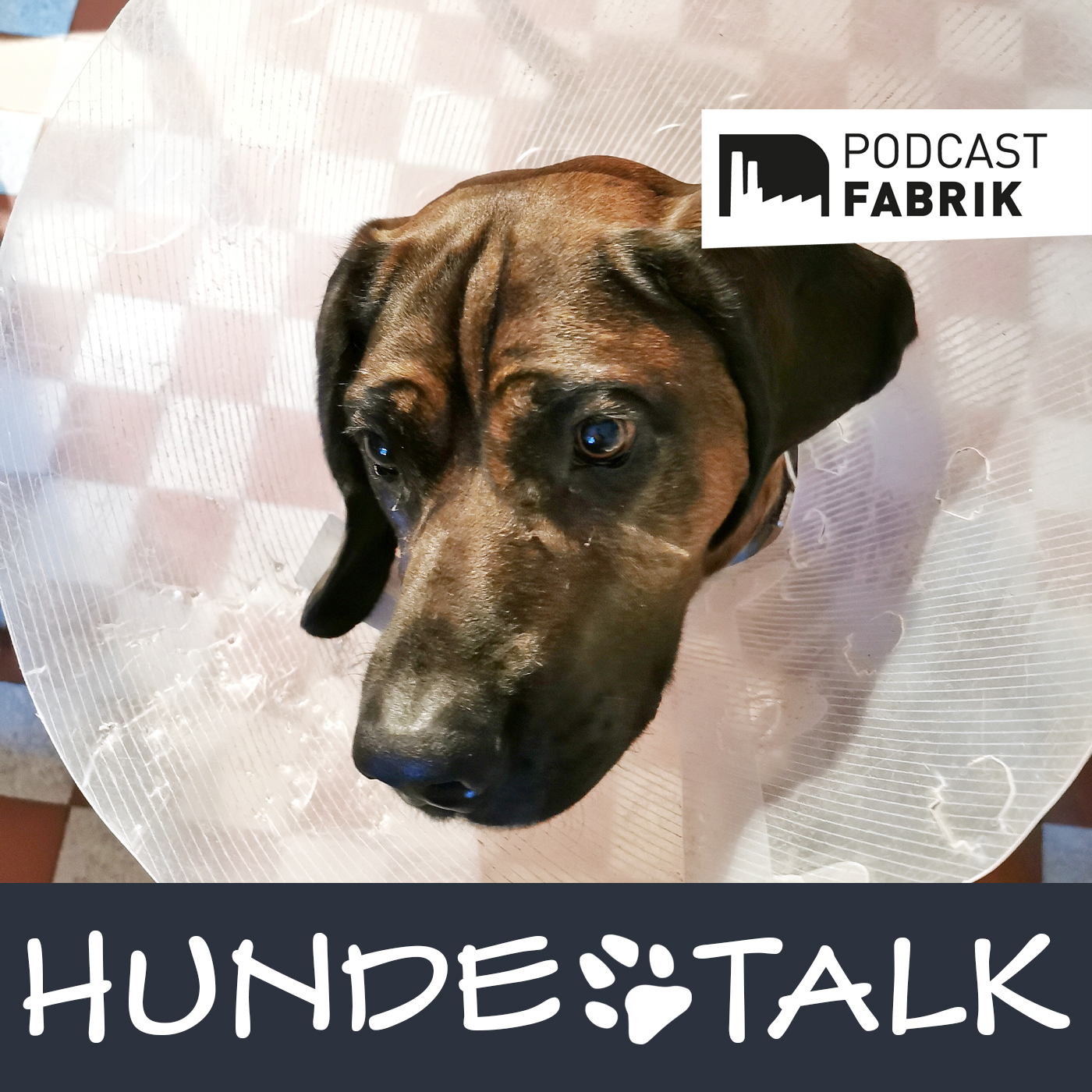 HUNDETALK - Dein Hunderunde-Podcast