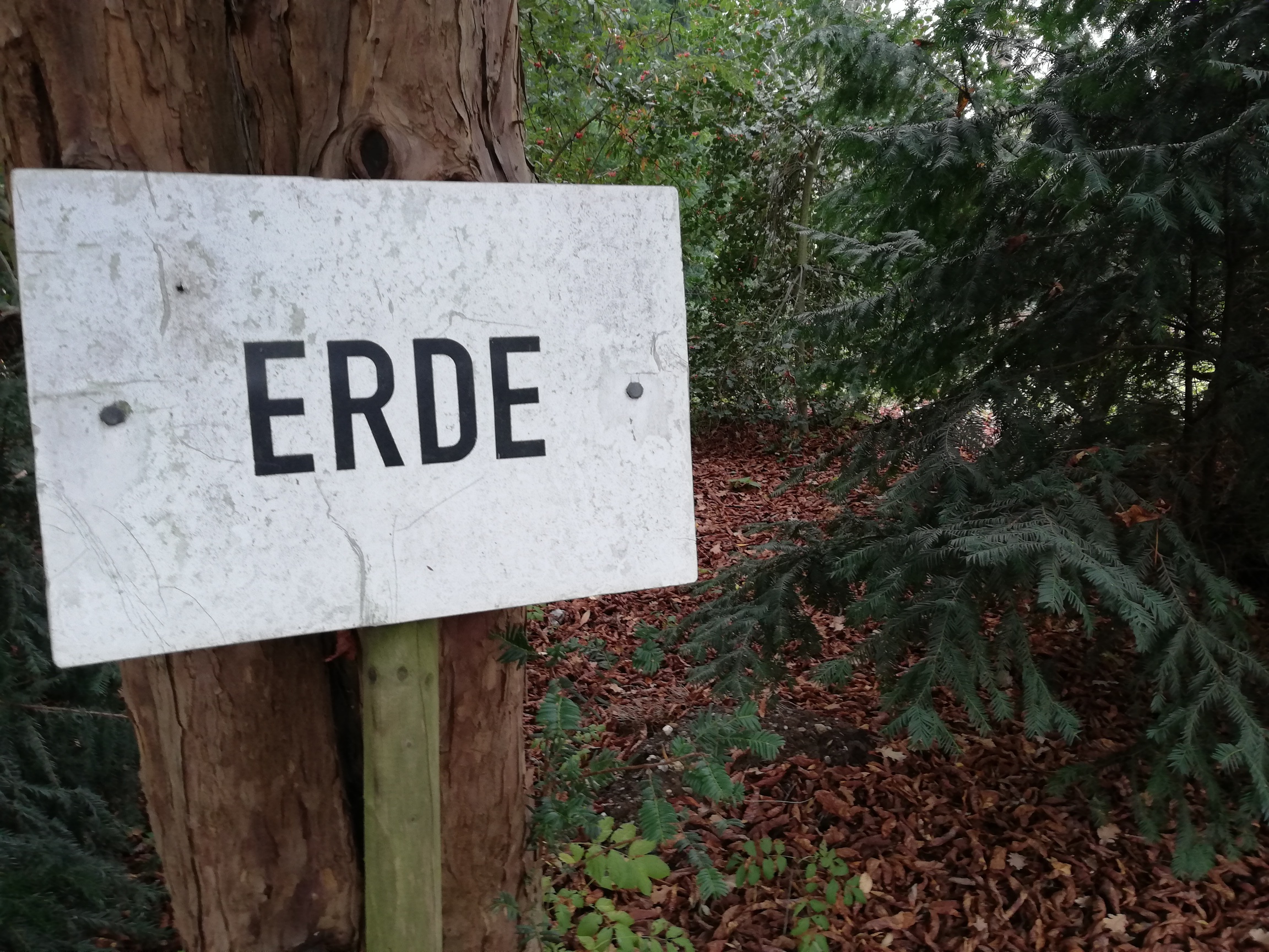 Wir - Der christliche Podcast an Rhein und Erft