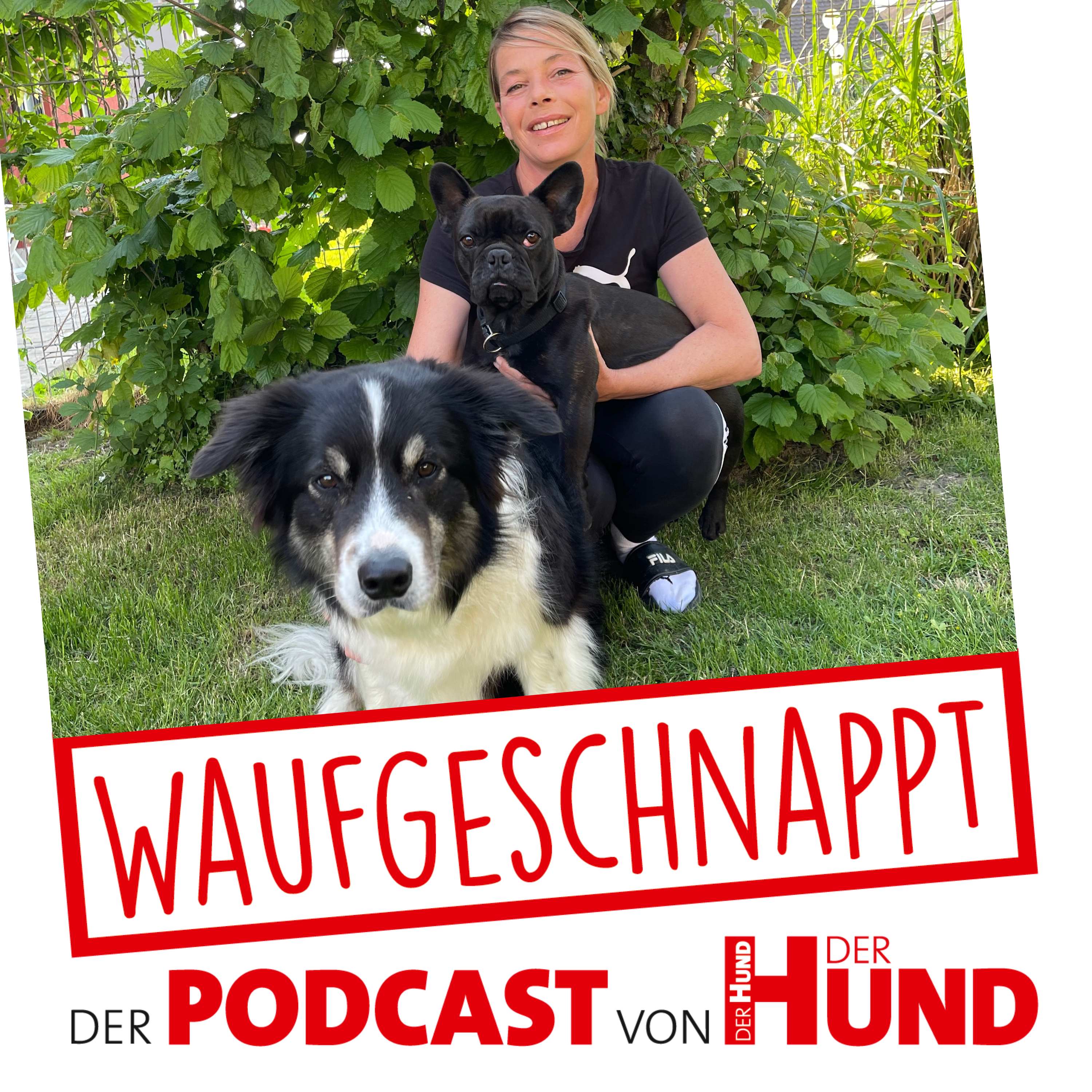 Waufgeschnappt - der Podcast von DER HUND