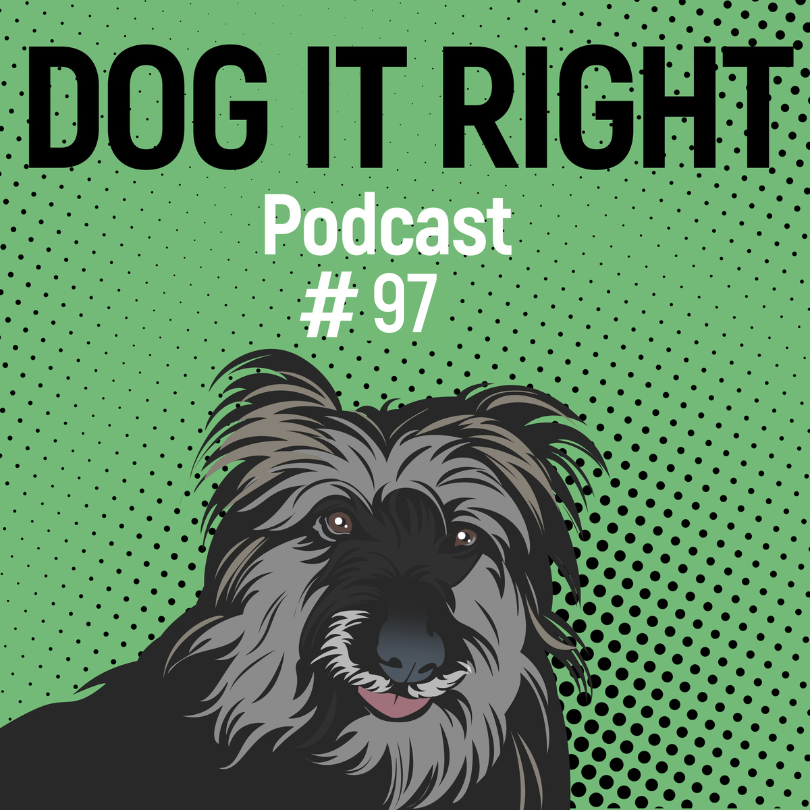 Dog It Right | Der Podcast für Hundemenschen