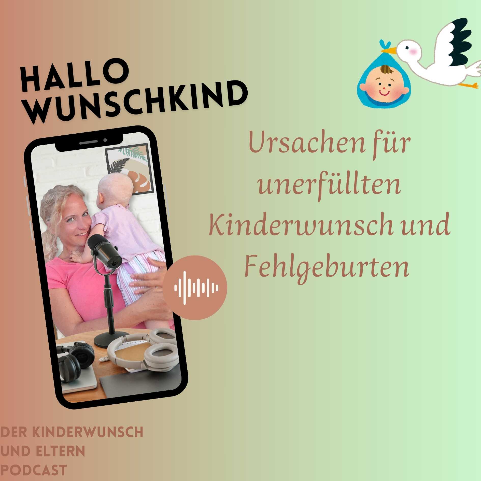 Ursachen für unerfüllten Kinderwunsch und Fehlgeburten episode artwork