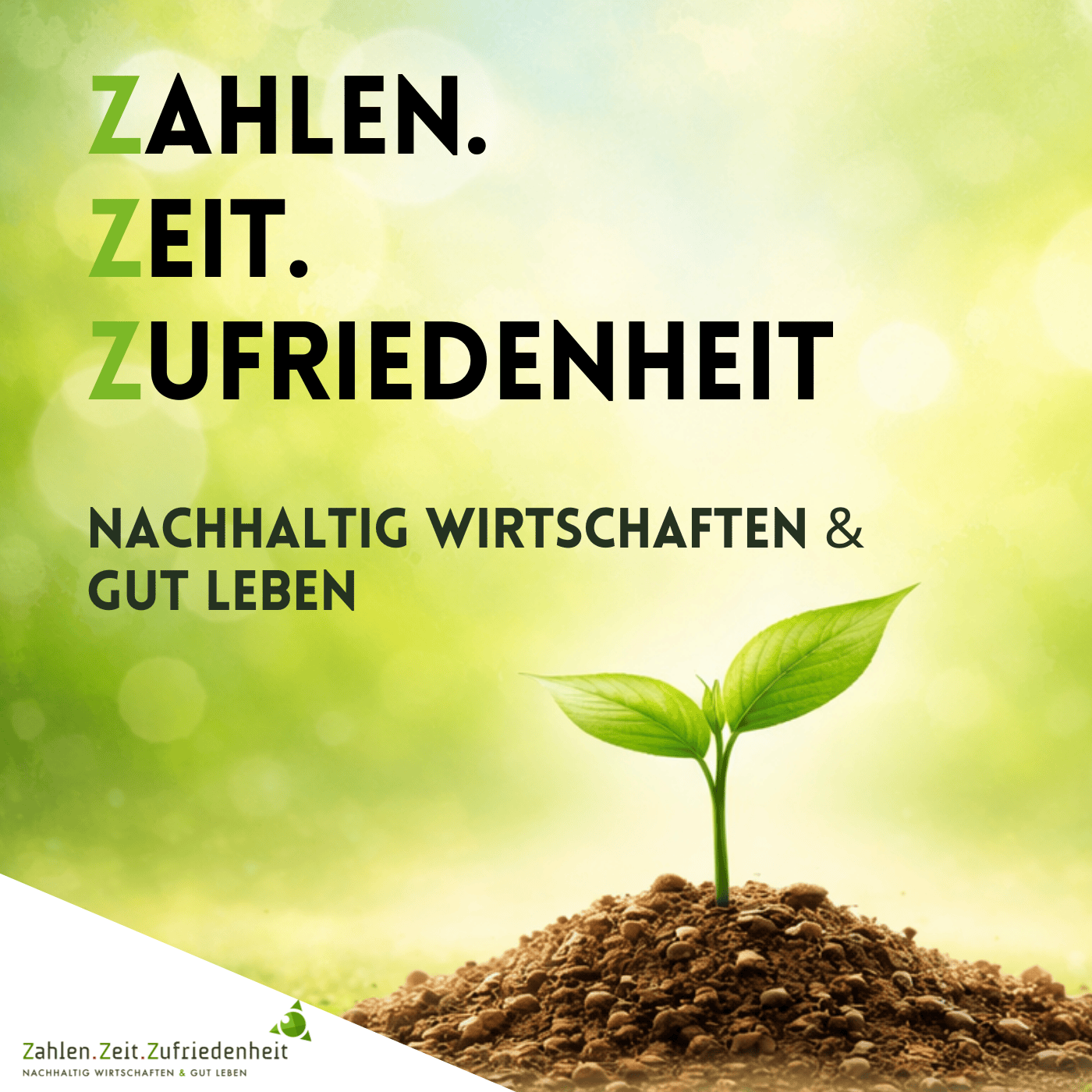 Zahlen.Zeit.Zufriedenheit - Nachhaltig wirtschaften & gut leben cover art