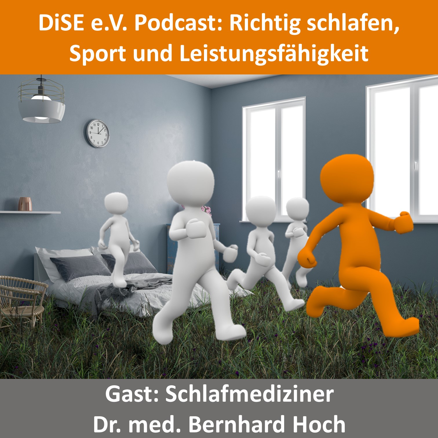 Deutsches Institut für Sporternährung e.V. (DiSE) Podcast