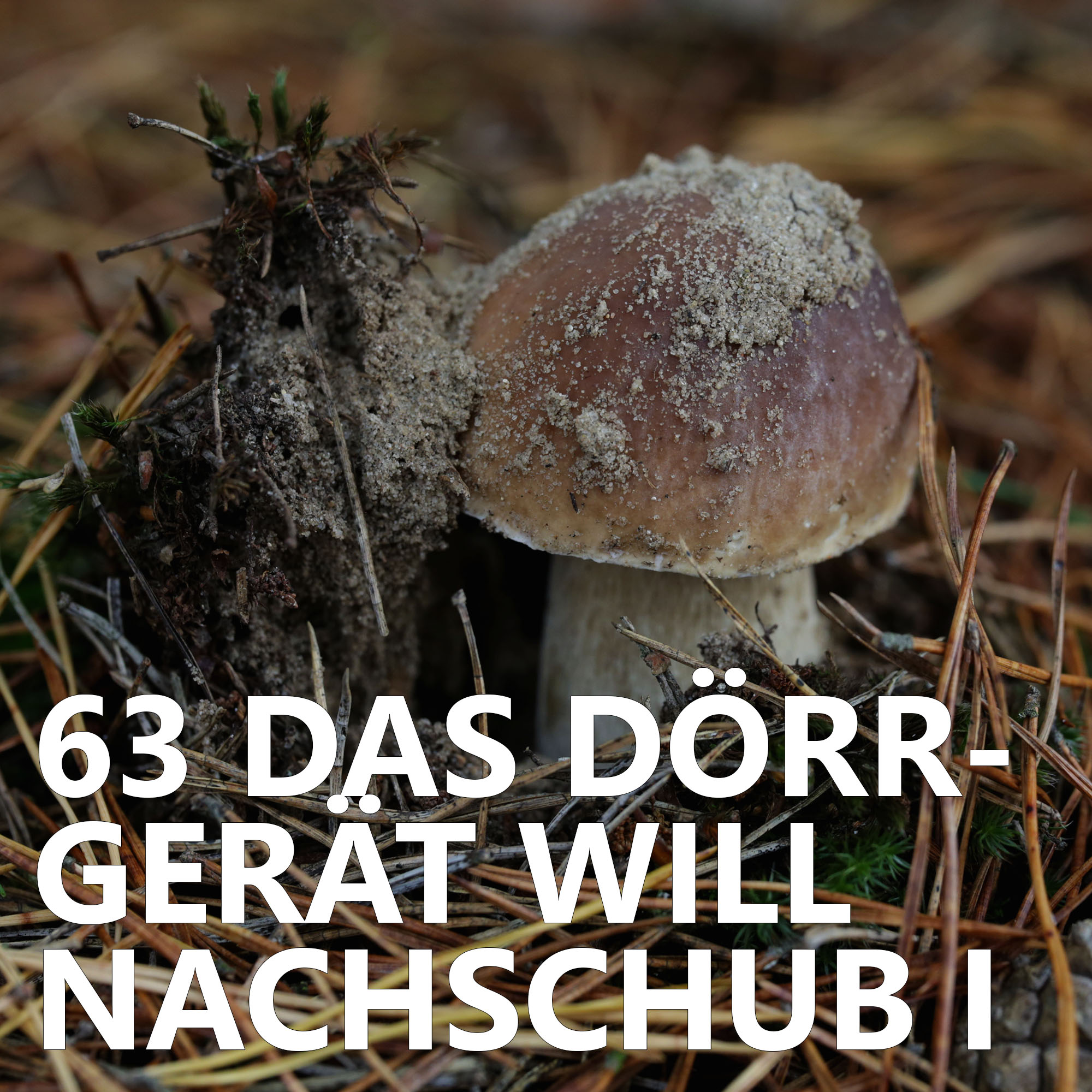 Der Pilzpodcast