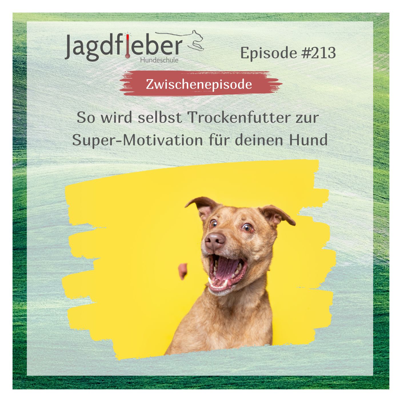 P213: So wird selbst Trockenfutter zur Super-Motivation für deinen Hund episode artwork