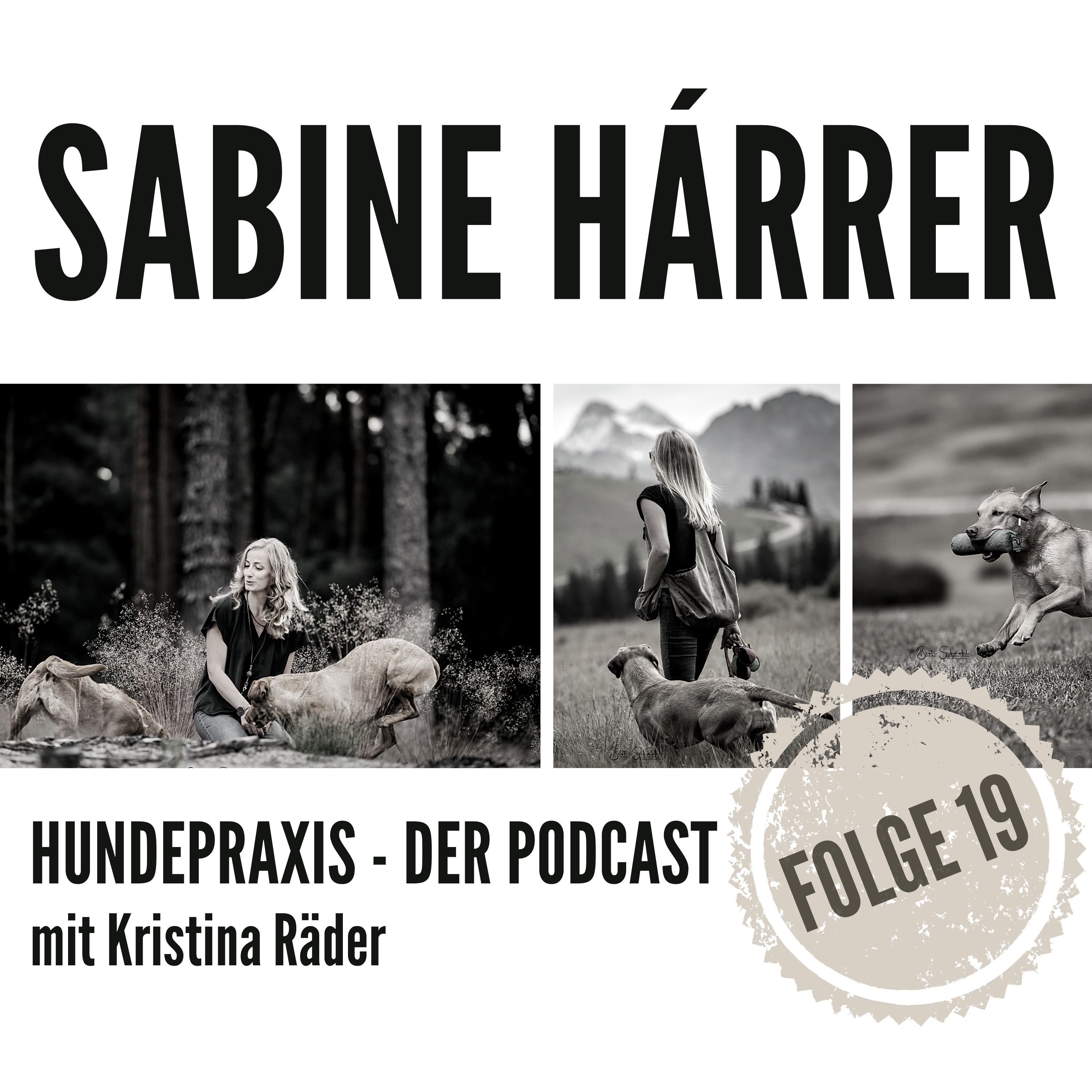 Hundepraxis - der Podcast