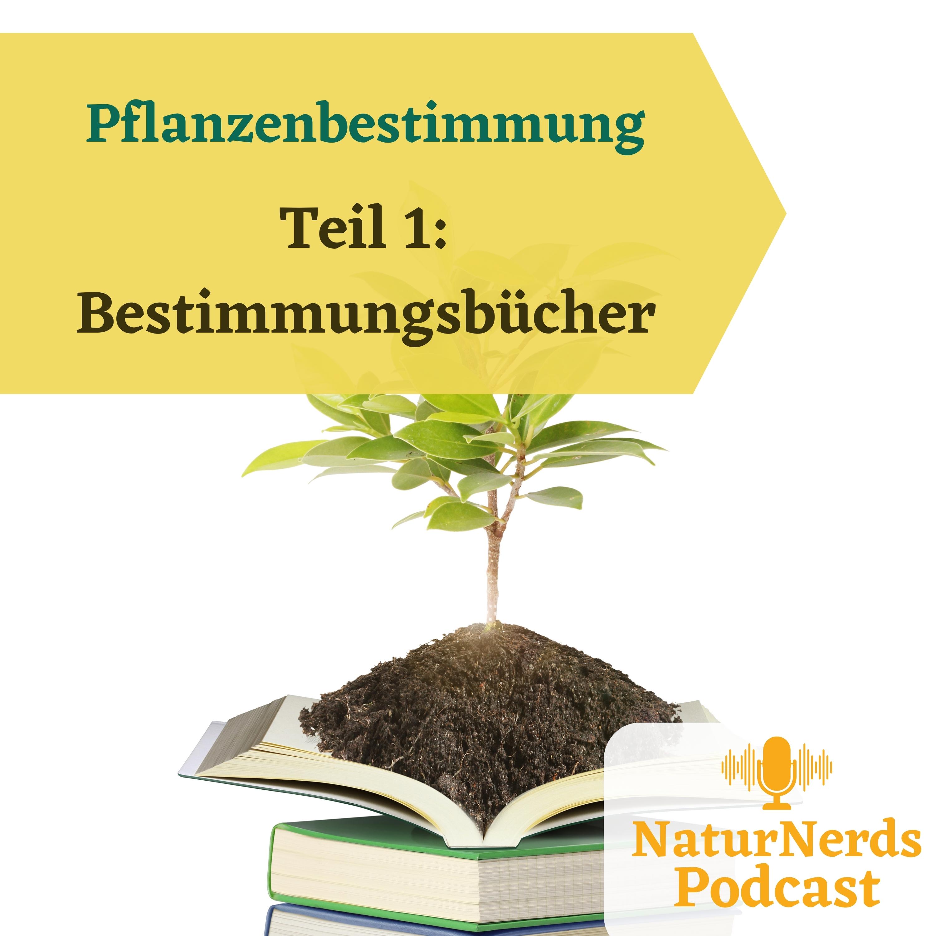 Pflanzenbestimmung - wie bestimmt man Pflanzen? Teil I: Bestimmungsbücher