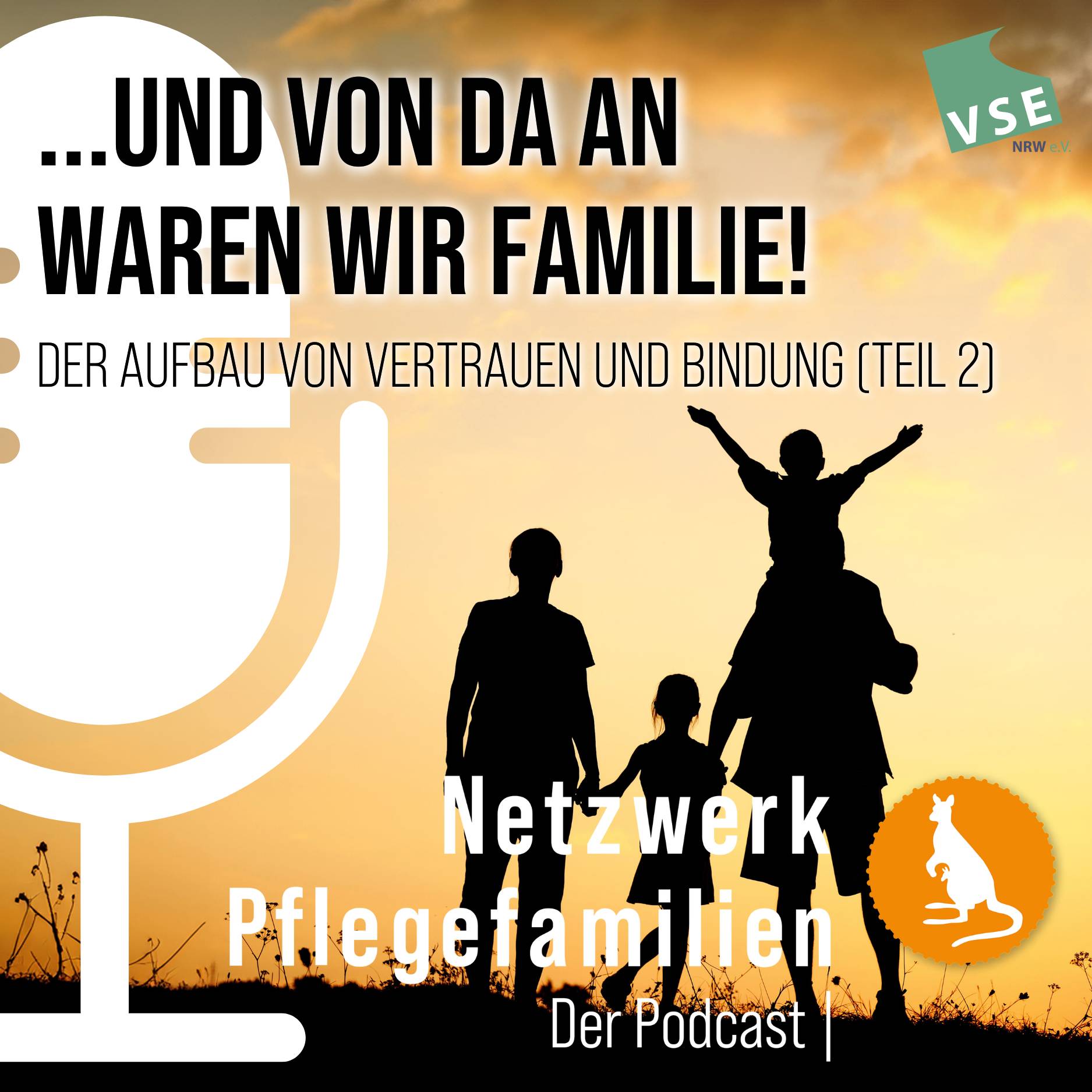 Netzwerk Pflegefamilien - Der Podcast