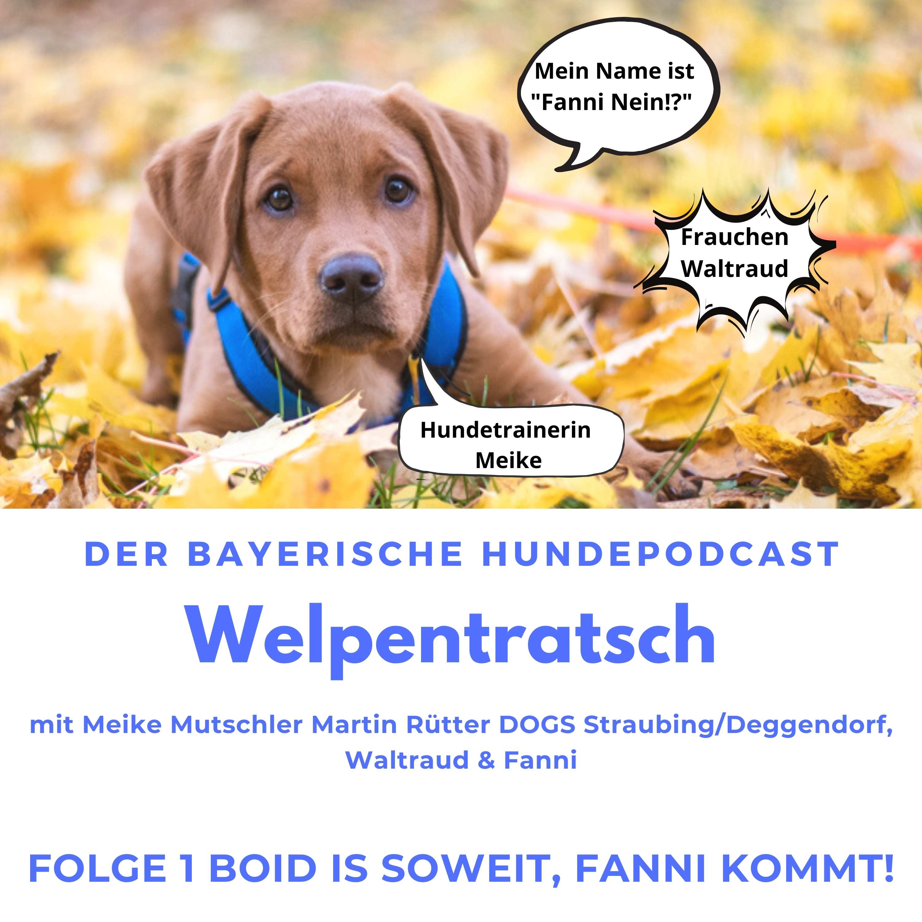 Welpentratsch - Der bayerische Hundepodcast