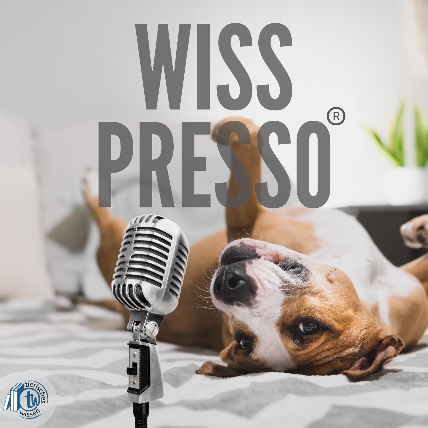 057 Wisspresso-Talk: Brauchen Tiere wirklich Kleidung?