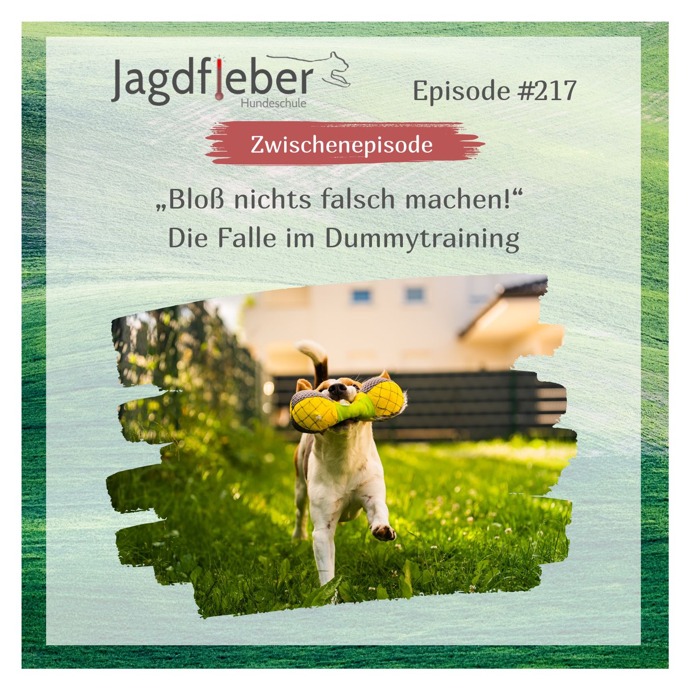 P217: „Bloß nichts falsch machen!“ Die Falle im Dummytraining episode artwork