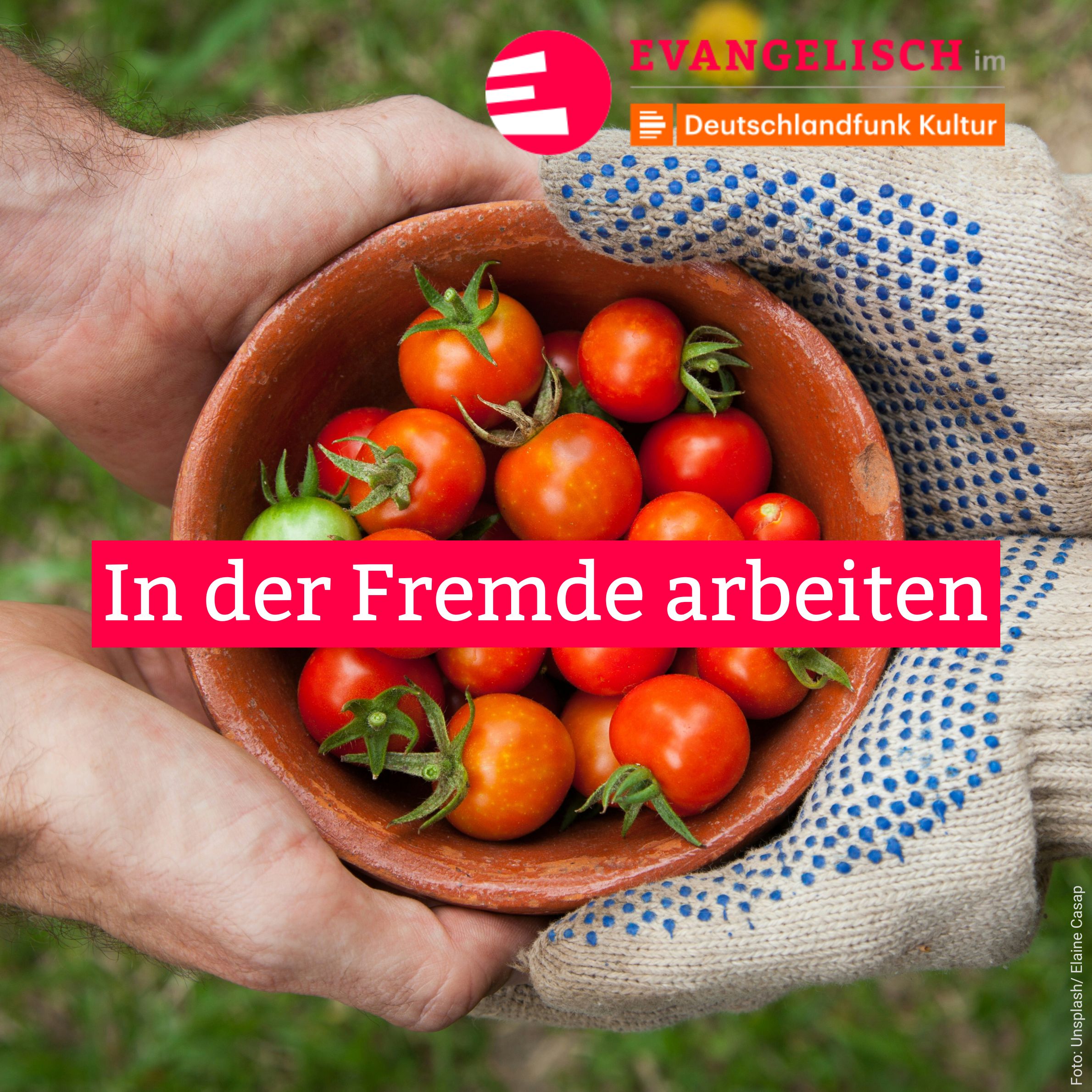 In der Fremde arbeiten