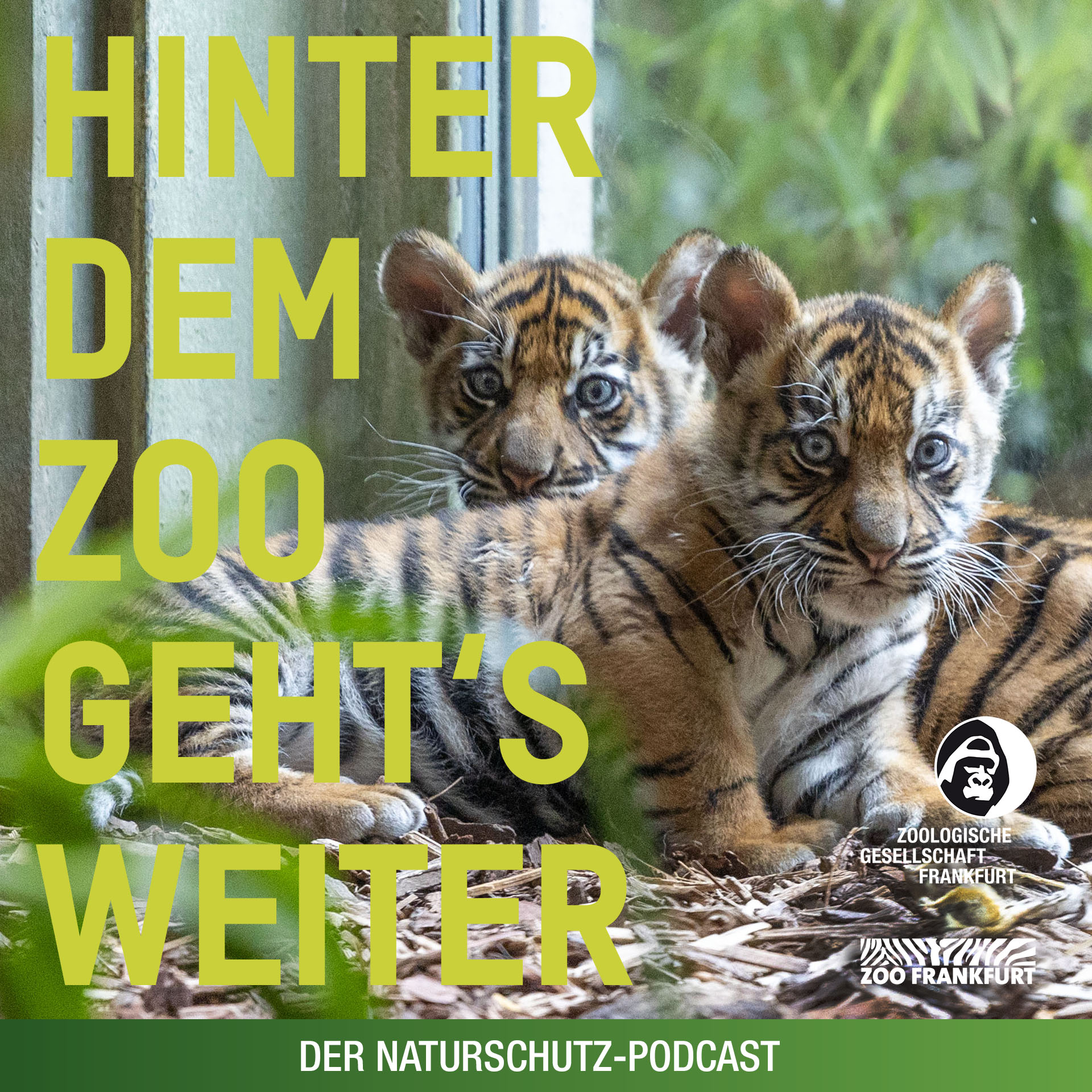 Hinter dem Zoo geht\'s weiter - Der Naturschutzpodcast aus Frankfurt