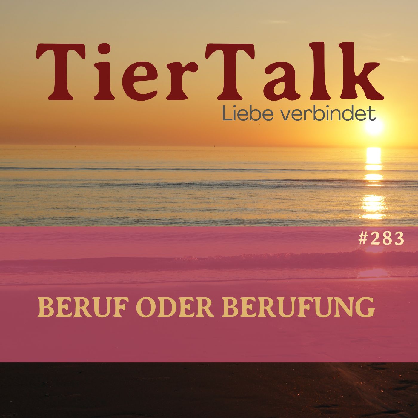 283. Mit Tieren arbeiten - Beruf oder Berufung