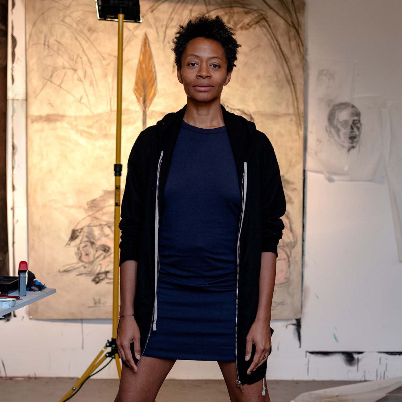 ARTIST TALK. IN CONVERSATION WITH KARA WALKER episode artwork