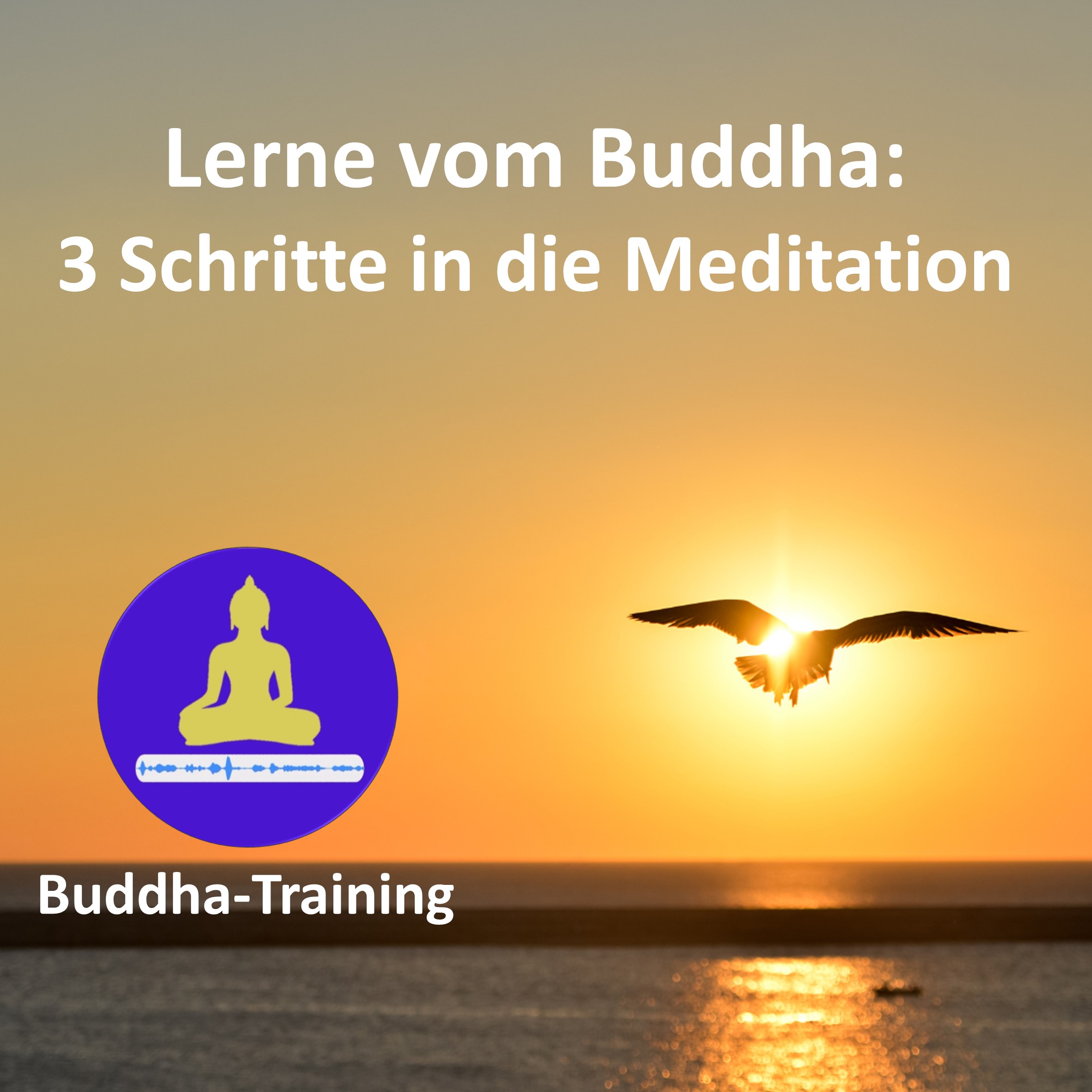 17. Lerne vom Buddha: 3 Schritte in die Meditation