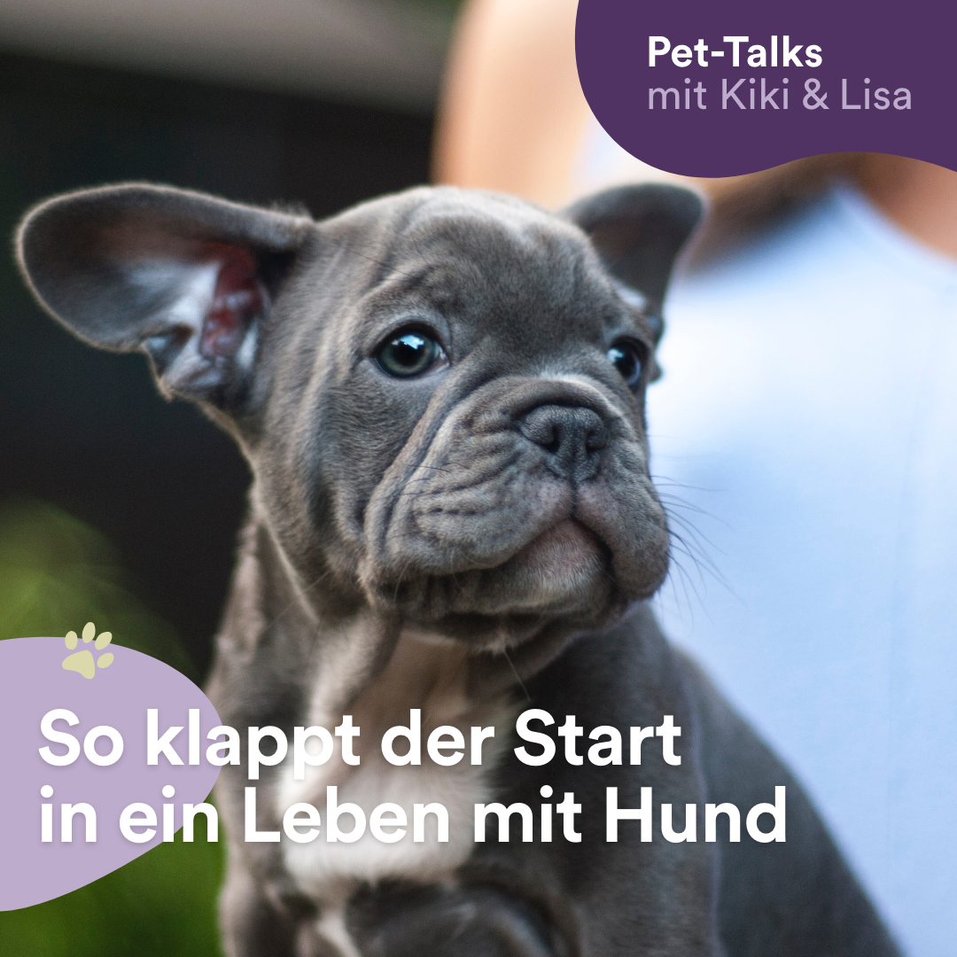 Pet-Talks mit Kiki & Lisa - der Hunde-Podcast von DeineTierwelt