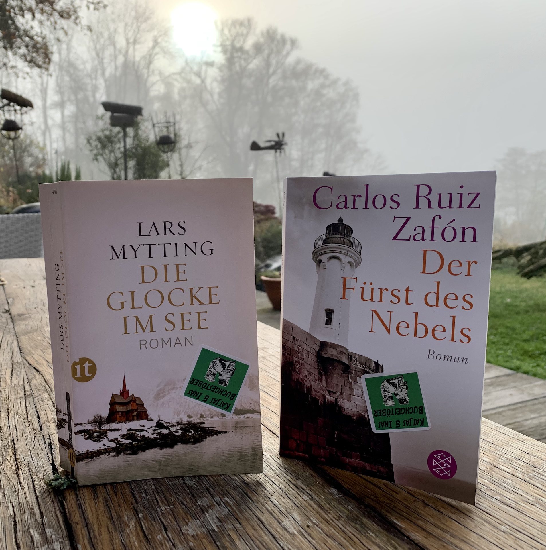 Katjas und Inas Buchgestöber