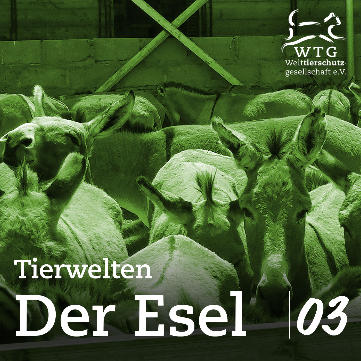Tierwelten
