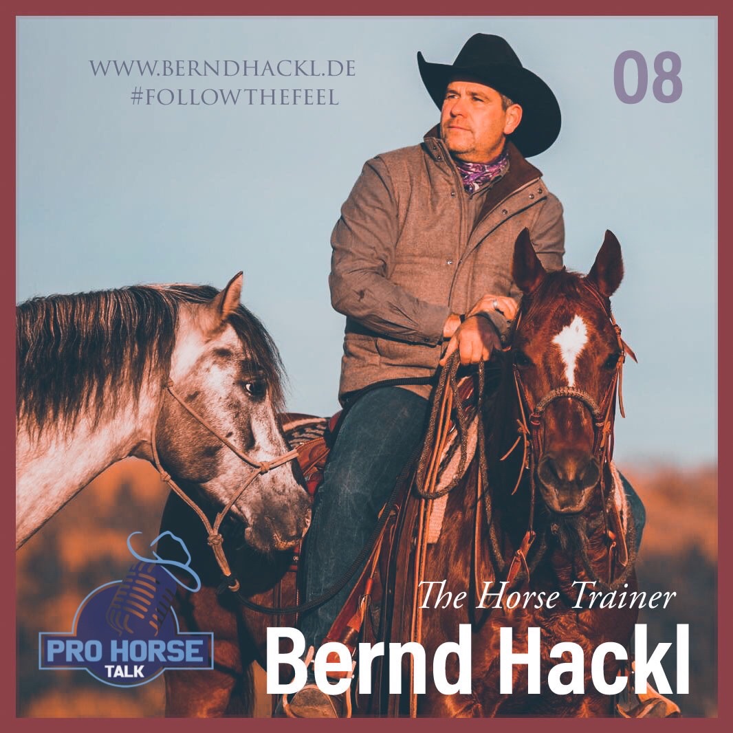 PRO HORSE TALK