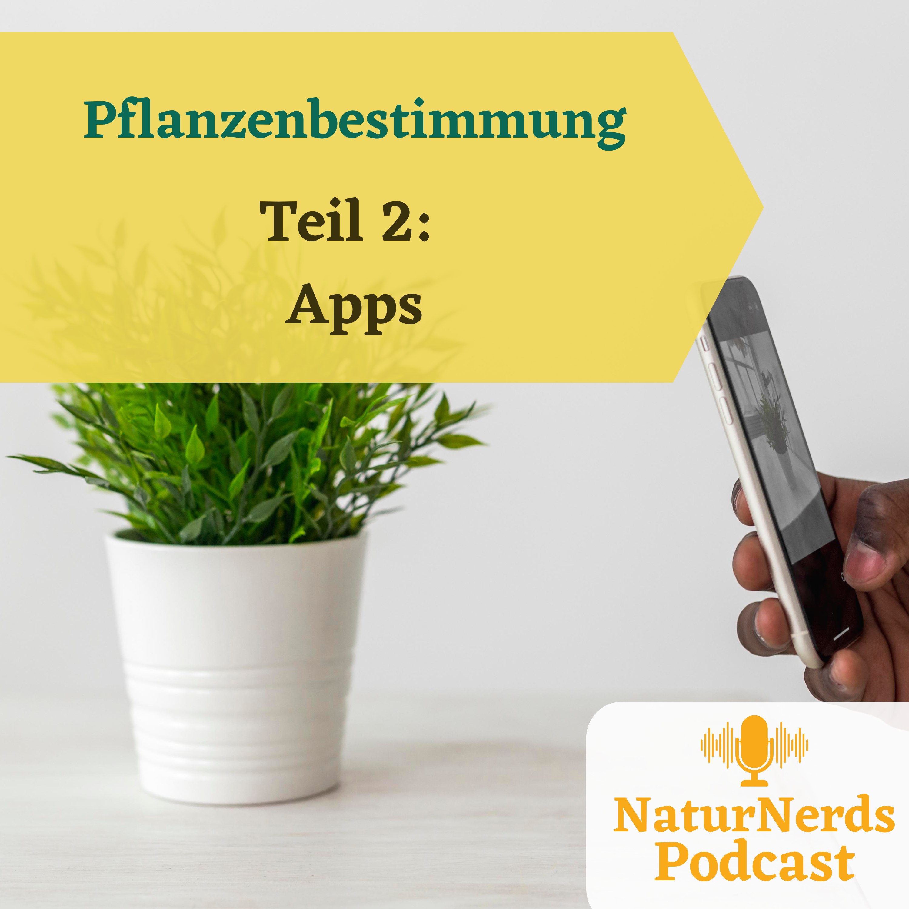 Pflanzenbestimmung - wie bestimmt man Pflanzen? Teil II: Apps