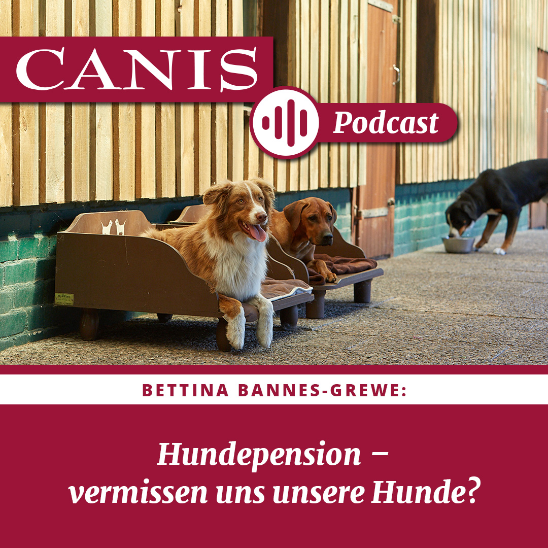 Der CANIS-Podcast – Hundeexpert:innen ausgefragt