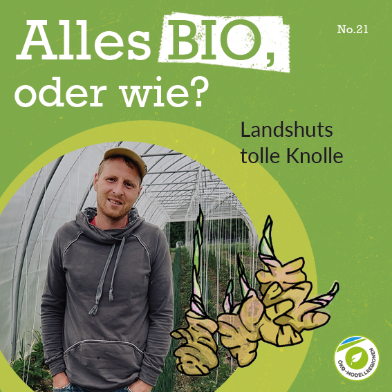 Alles BIO, oder wie?