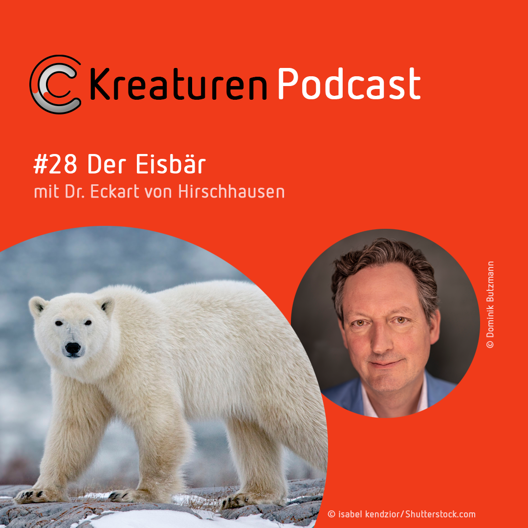 Kreaturen-Podcast – Folge 28: Der Eisbär mit Dr. Eckart von Hirschhausen episode artwork