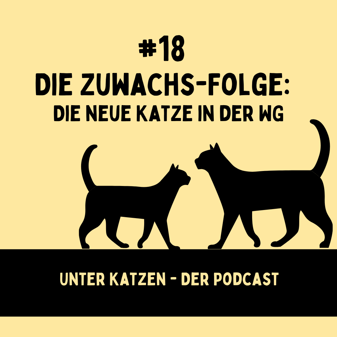 Unter Katzen