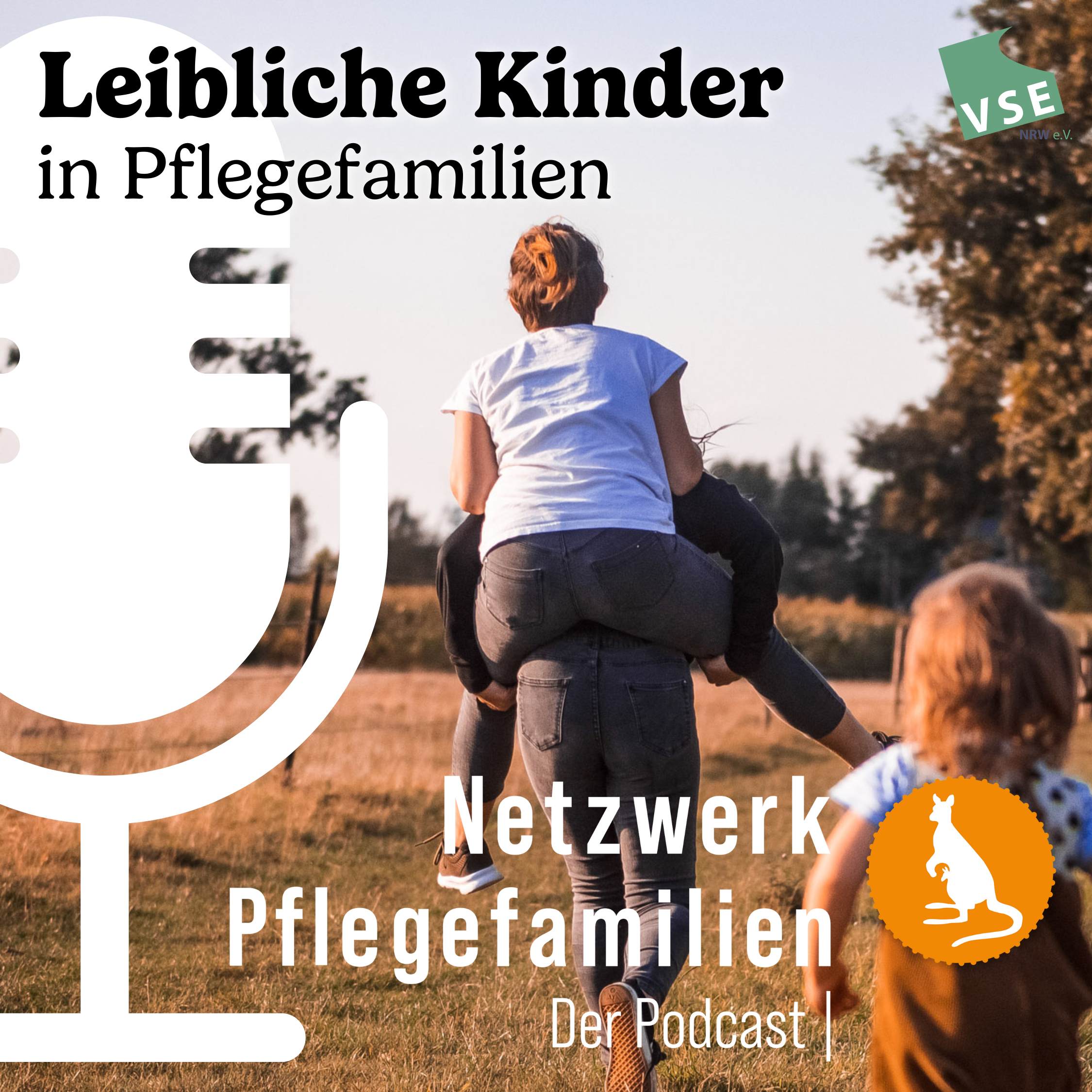 Netzwerk Pflegefamilien - Der Podcast