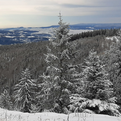 Visitblackforest - Der Schwarzwald Podcast