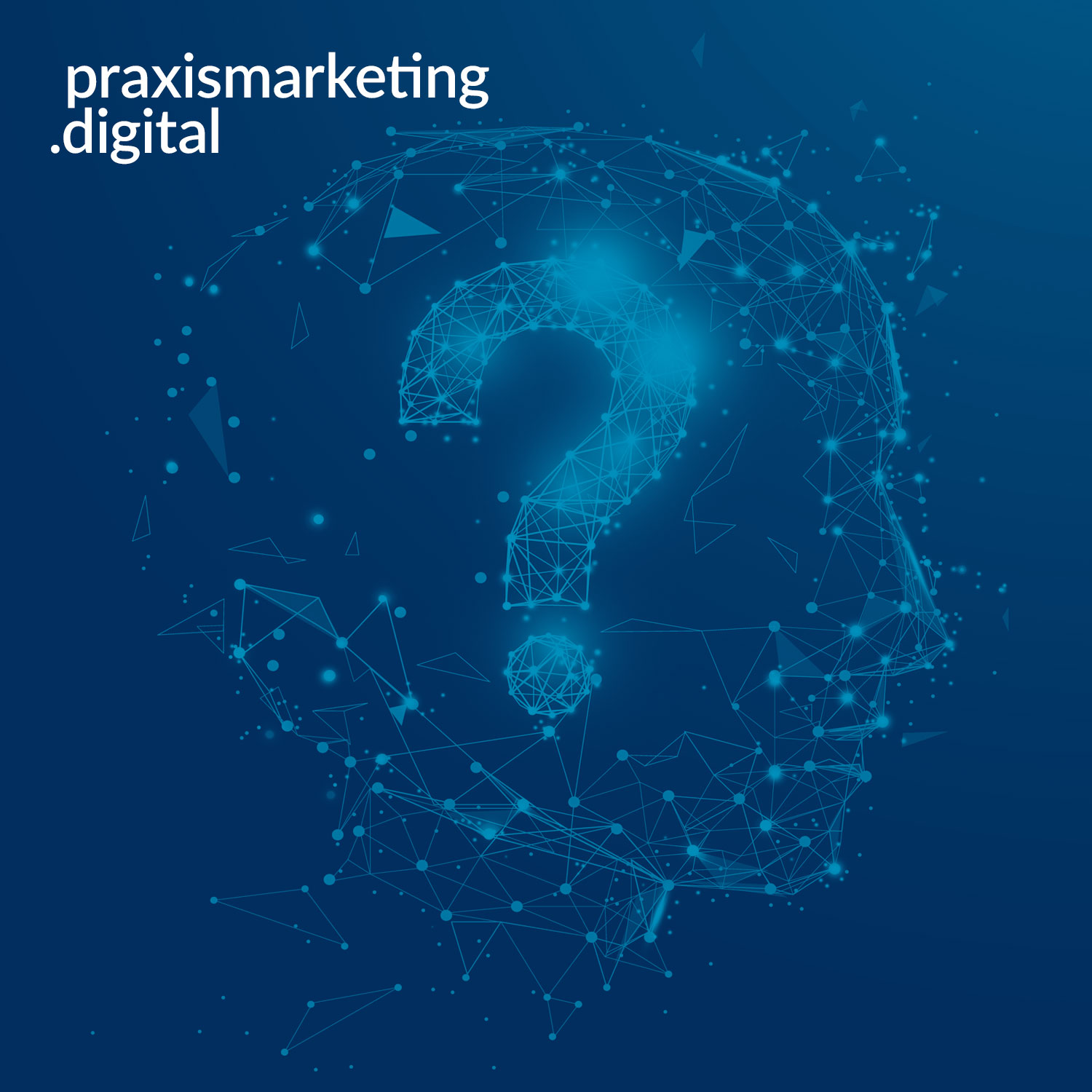praxismarketing.digital