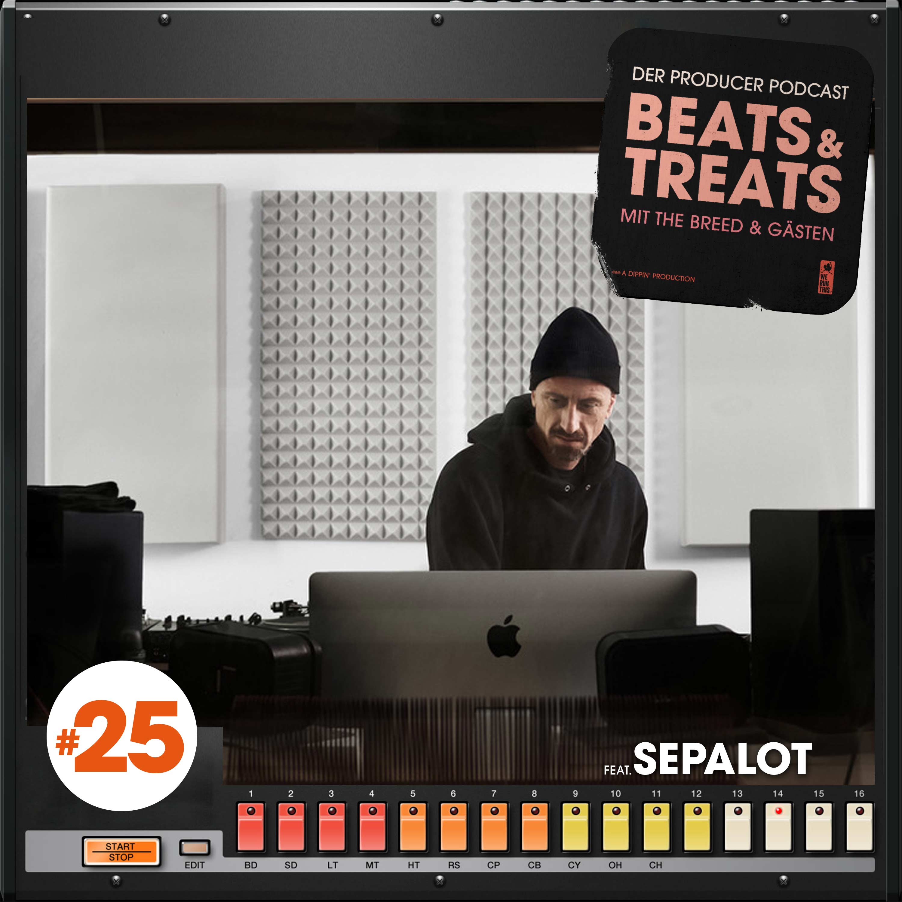 #25 - BUSINESS VS. KREATIVITÄT mit SEPALOT episode artwork