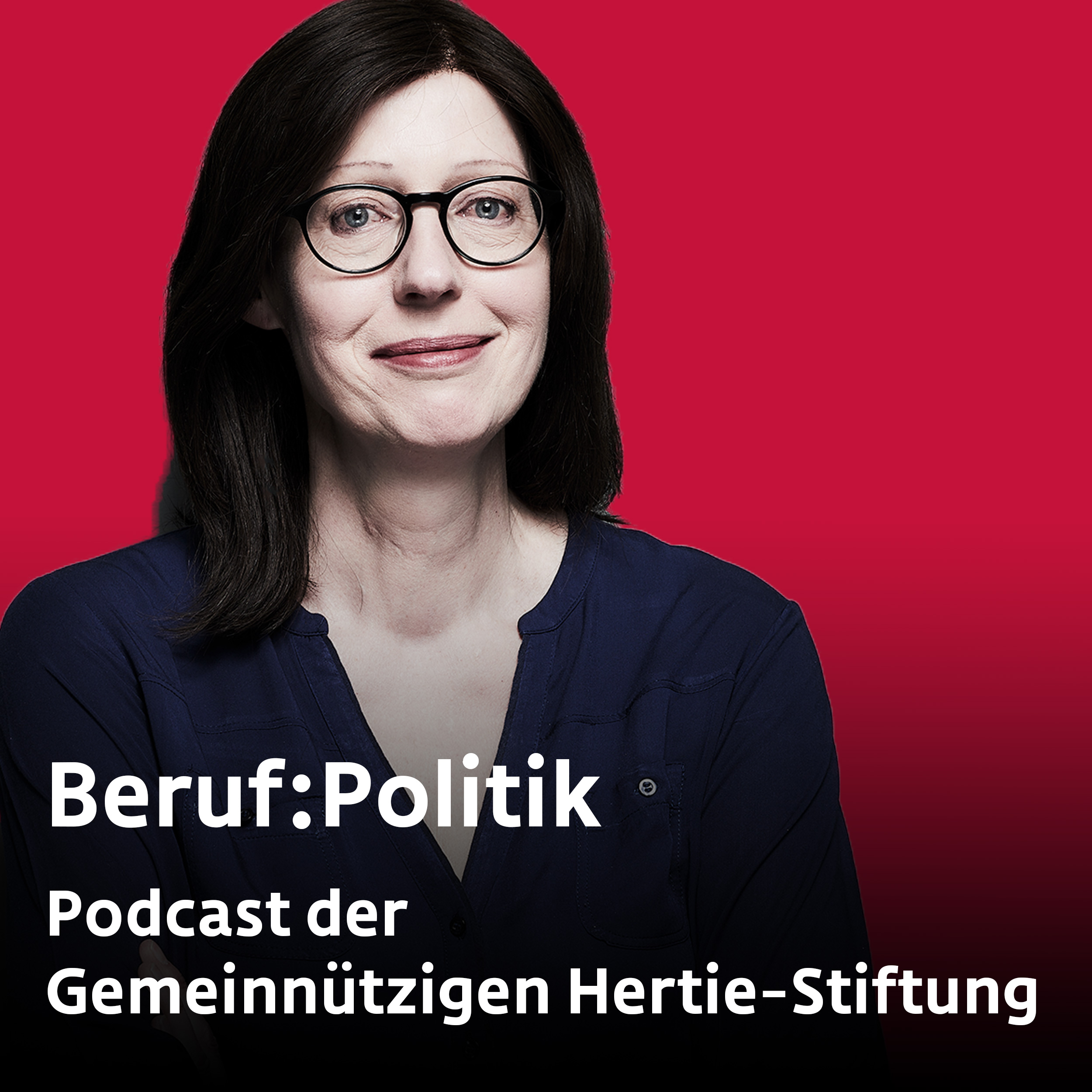 Beruf:Politik - Wie ist es, im 21. Jahrhundert Politik zu machen?
