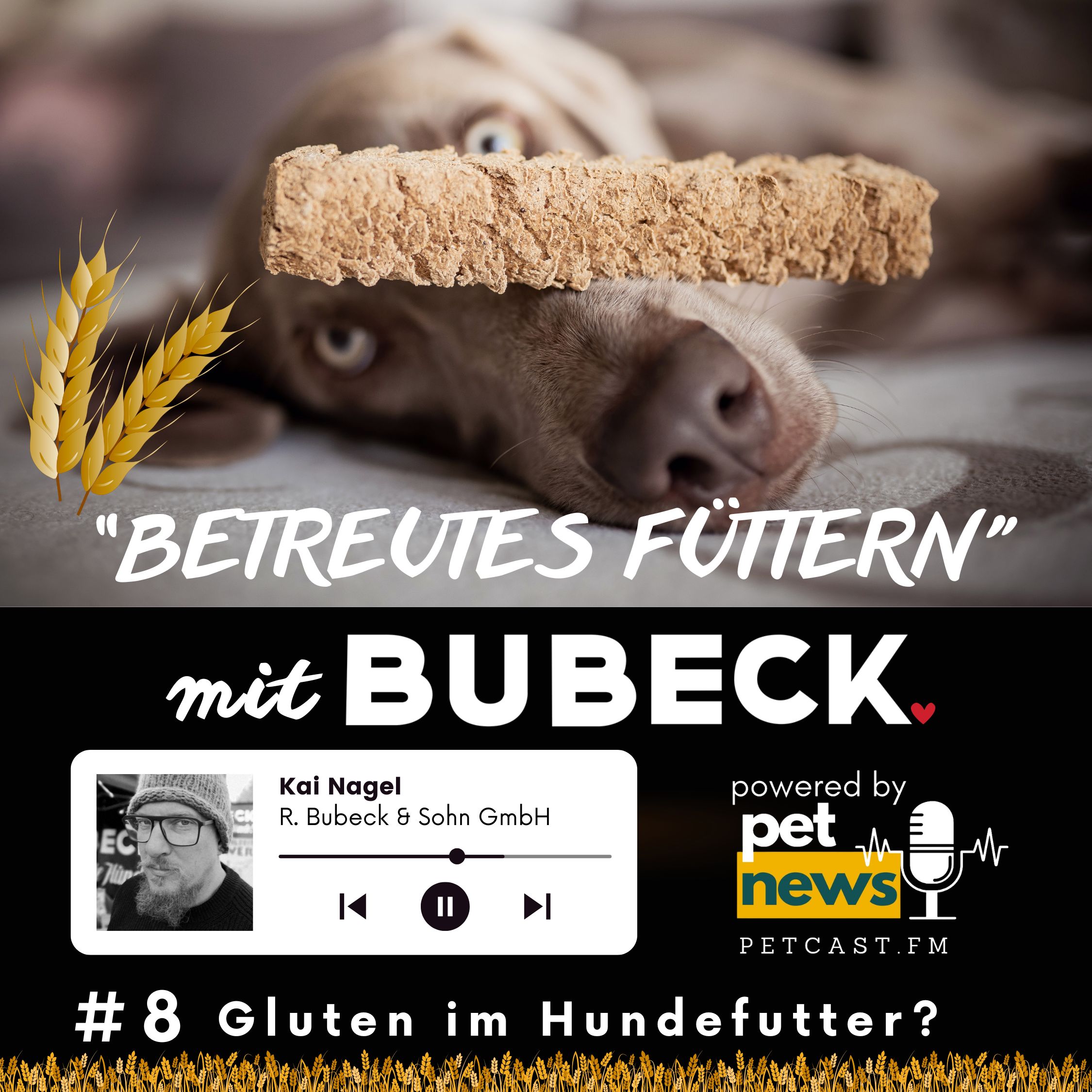 Betreutes Füttern mit Bubeck - Die älteste Hundefuttermanufaktur von 1893