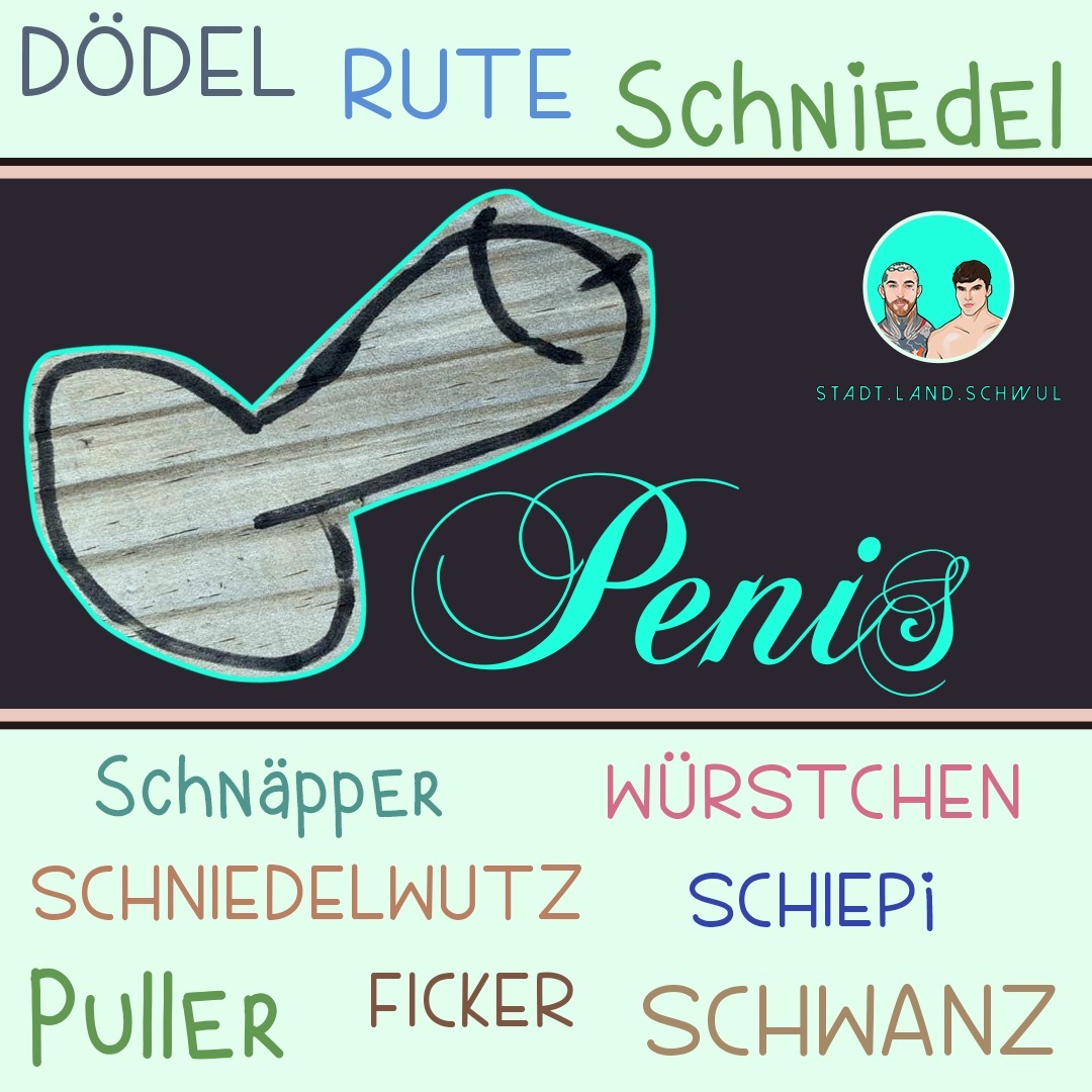 Penis episode artwork
