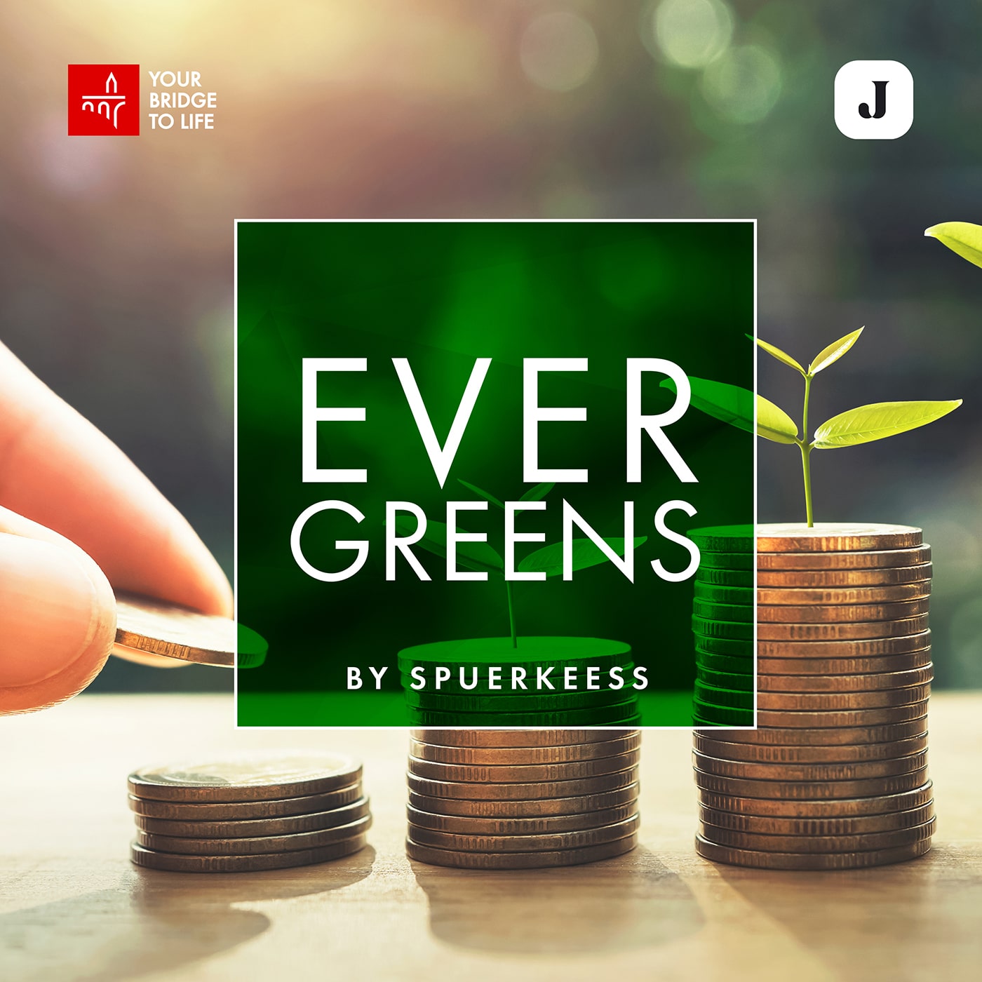 Evergreens by Spuerkeess